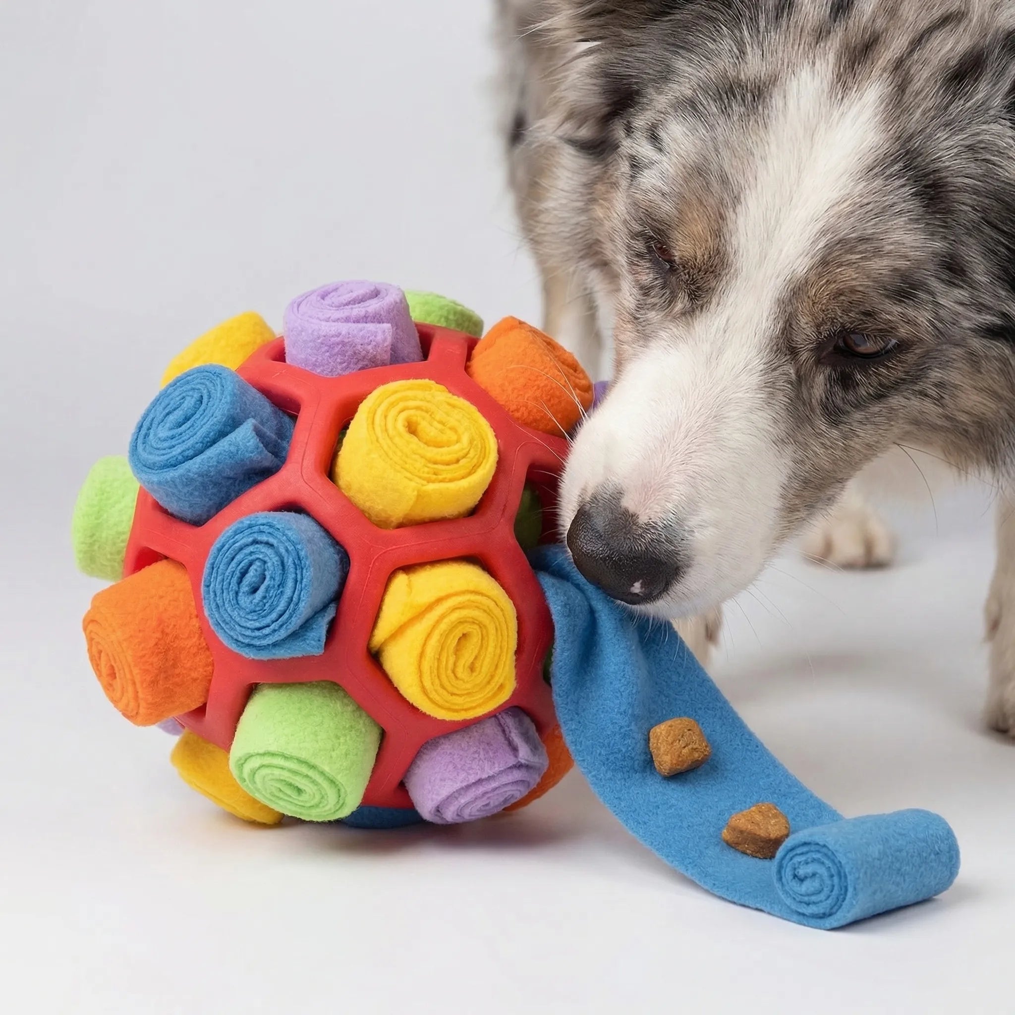 Interaktiver Schnüffelball für Hunde mit Leckerli-Taschen und Riemengriff