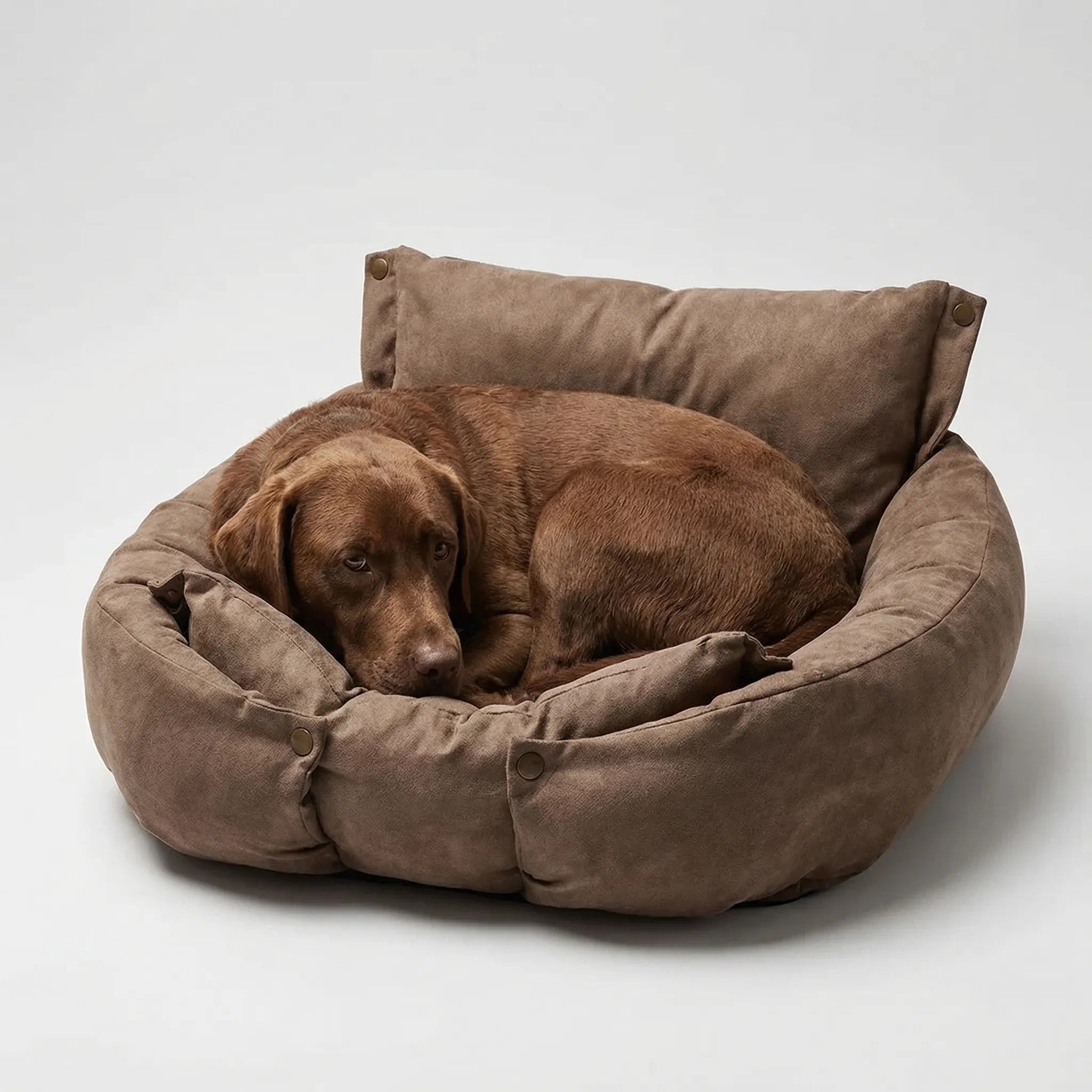 Nordspur | Snugsworth 3-In-1 Convertible Pet Bed Sofa