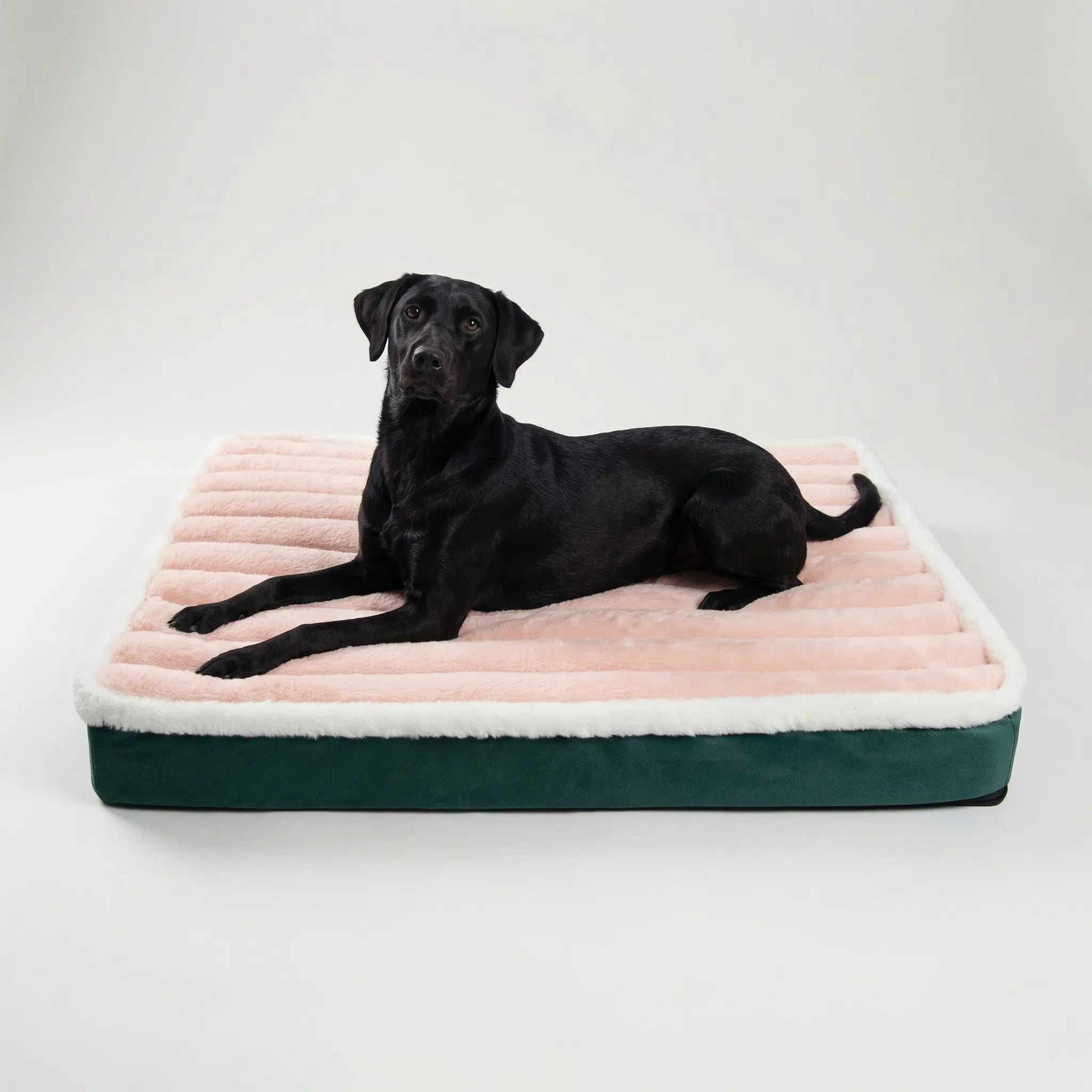Nordspur | Snugvelo Rectangular Foam Pet Mattress With Removable Cover
