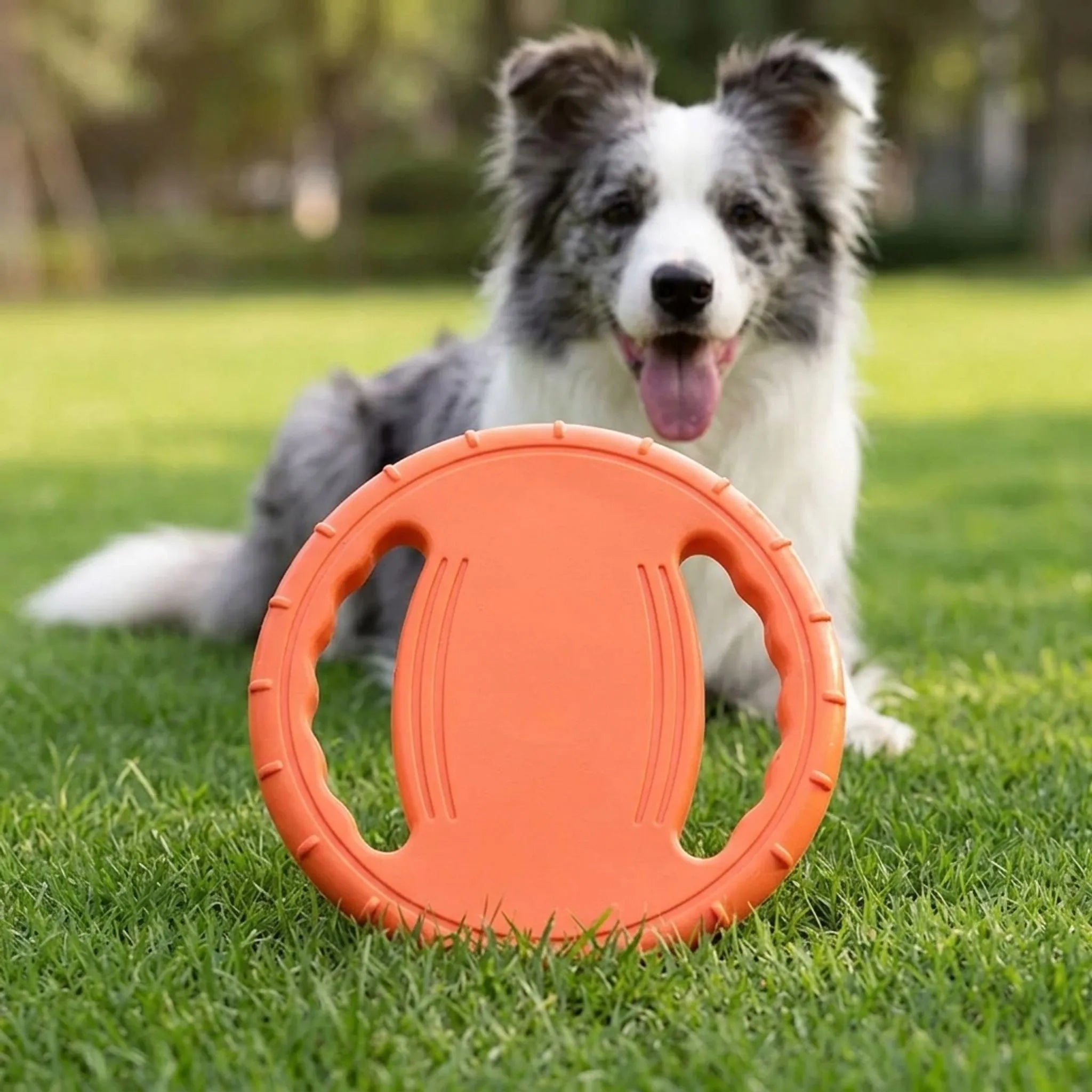Nordspur | Soarix Floating Dog Flying Disc