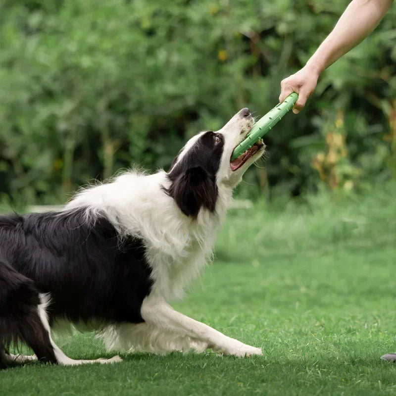 Nordspur | Soarix Floating Dog Flying Disc