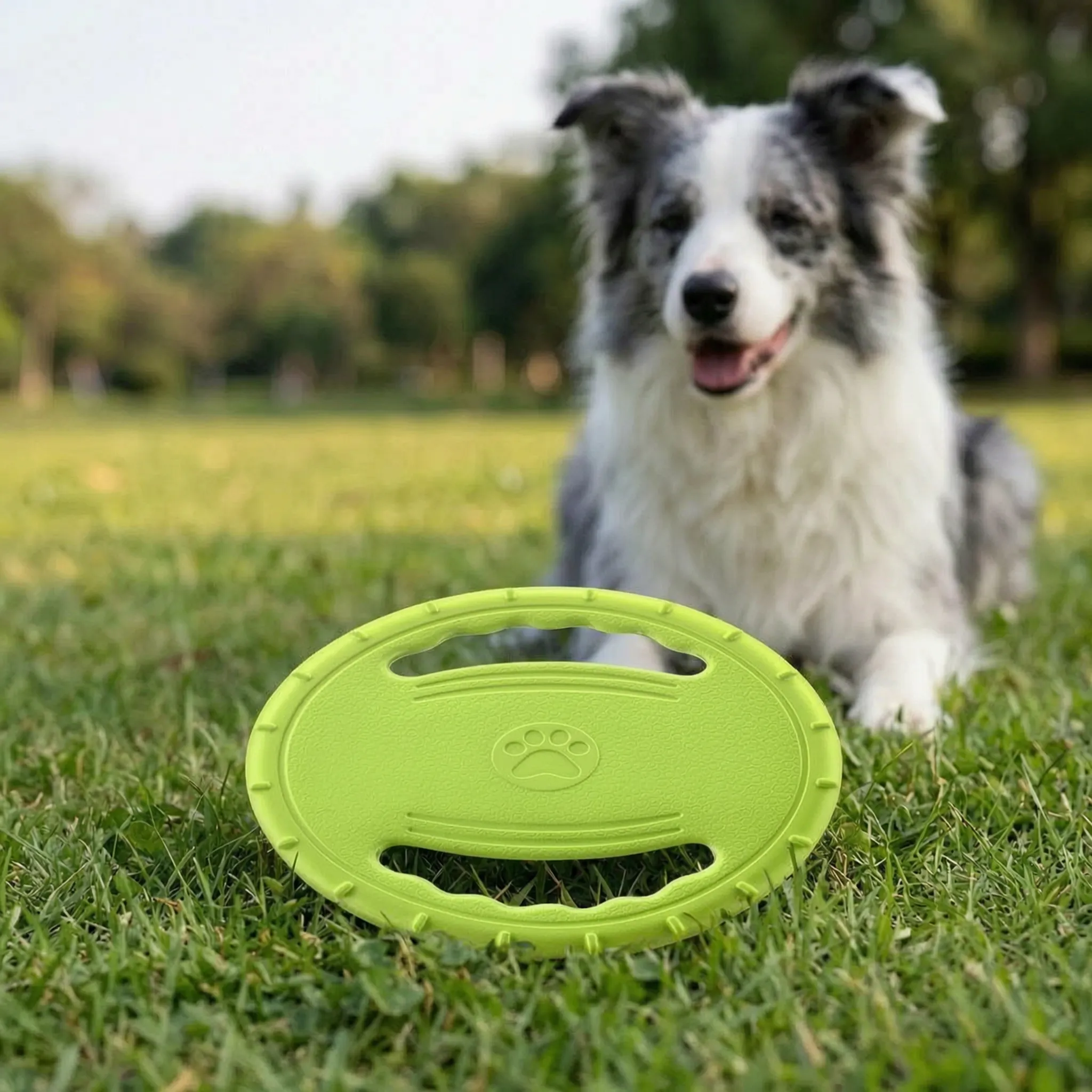 Nordspur | Soarix Floating Dog Flying Disc
