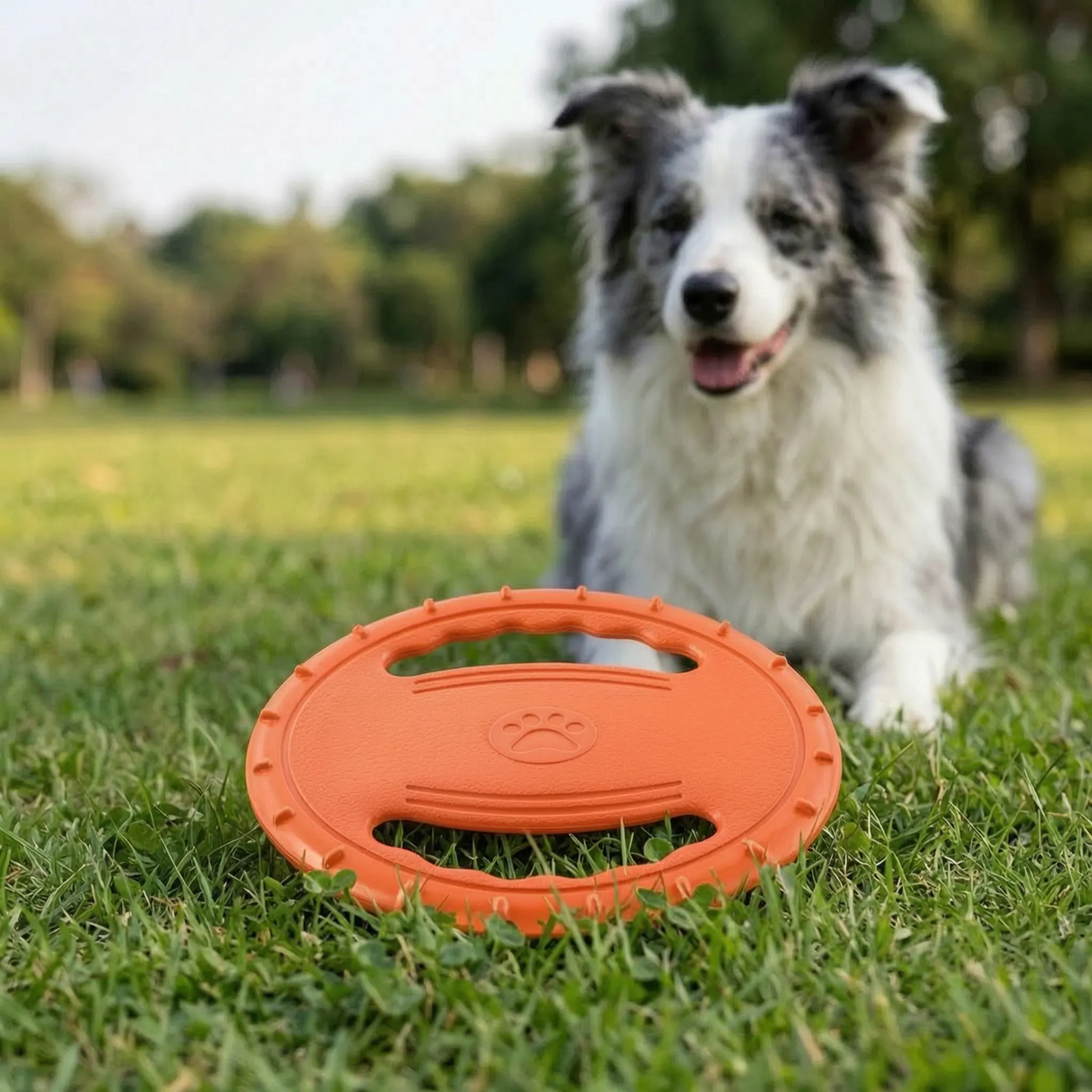 Nordspur | Soarix Floating Dog Flying Disc