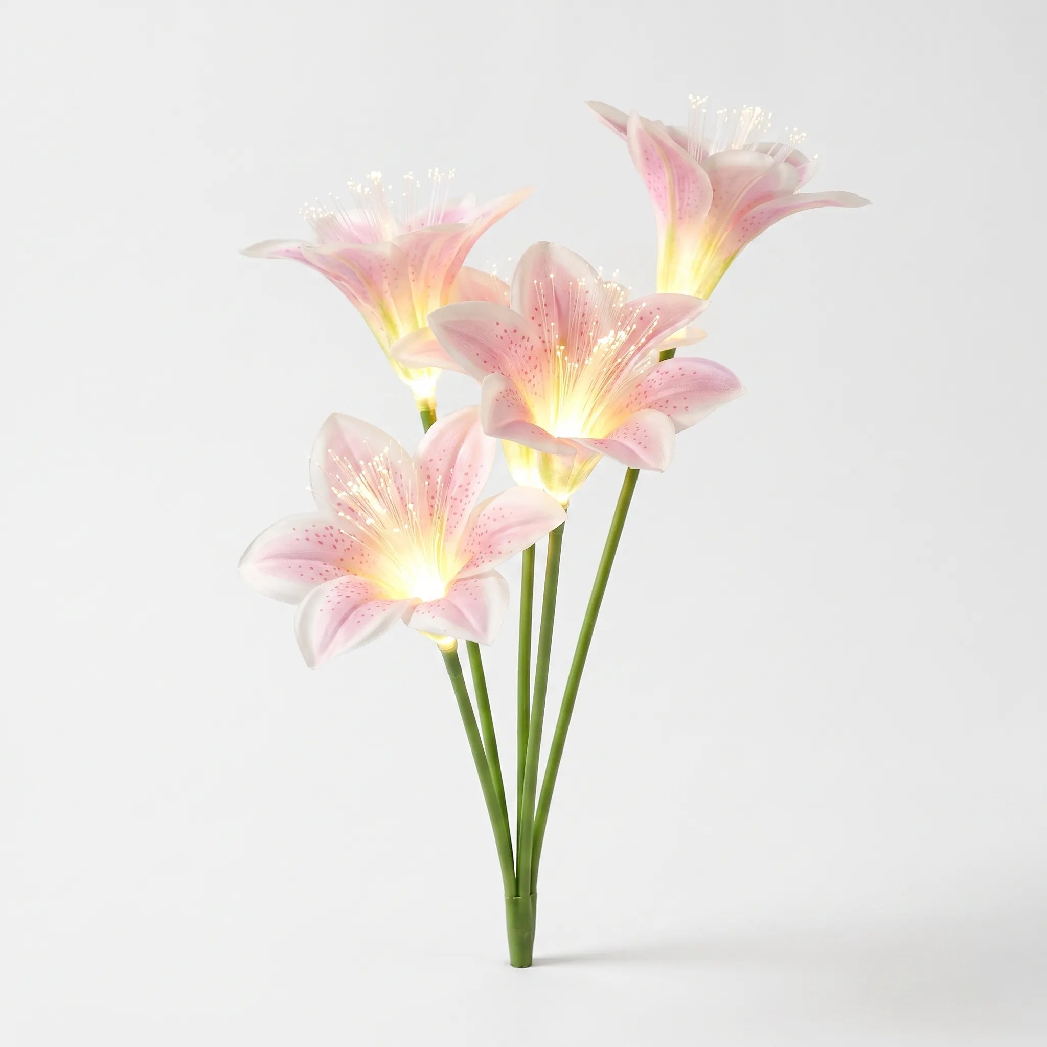 Nordspur | Solpetal Floral Shaped Solar Garden Stake Lights