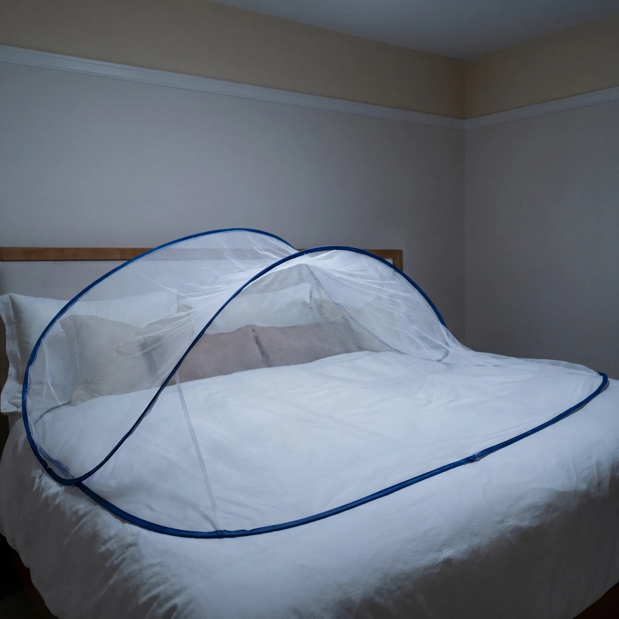 Nordspur | Somnifold Foldable Pop-Up Mosquito Net