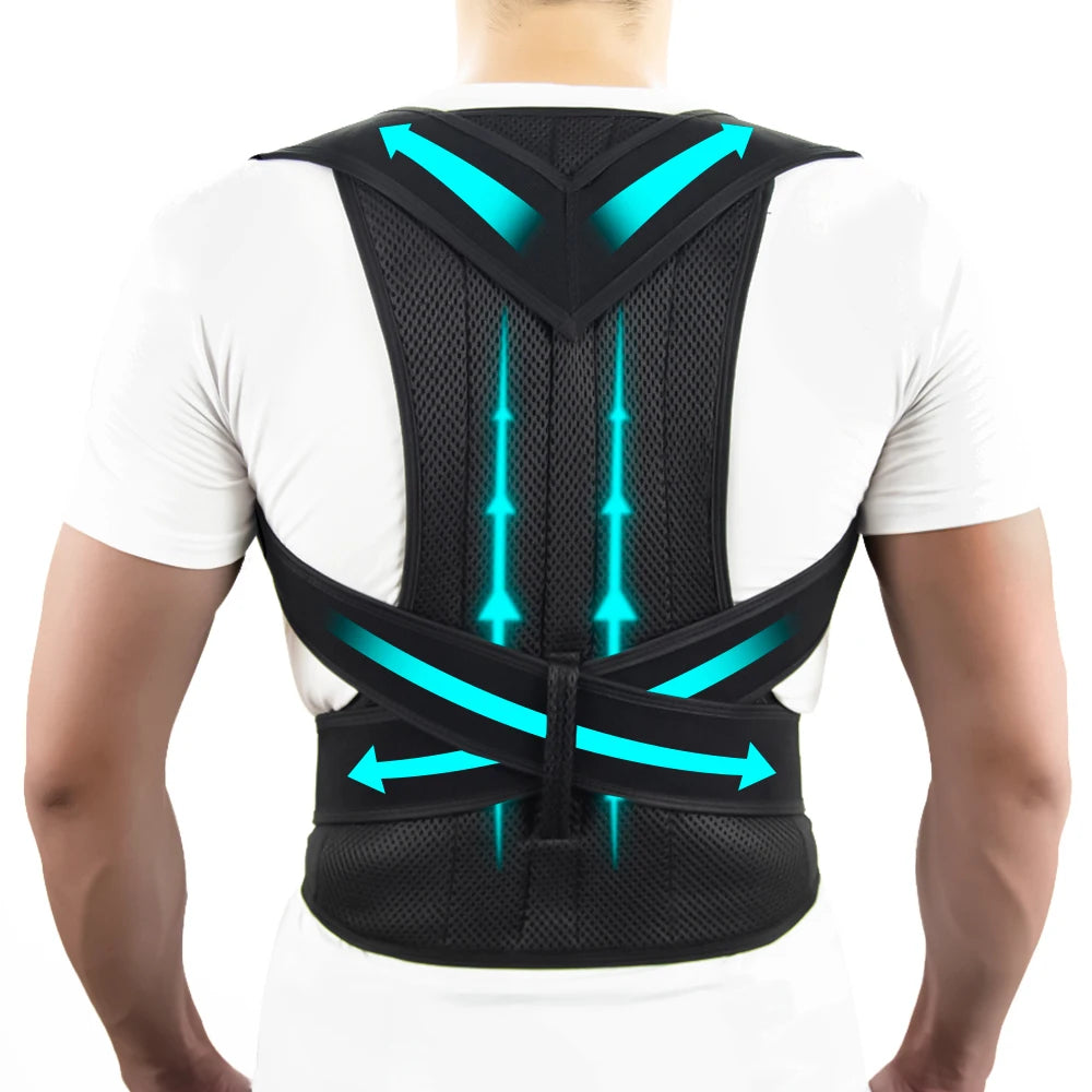 Nordspur | Spineva Adjustable Full Back Support