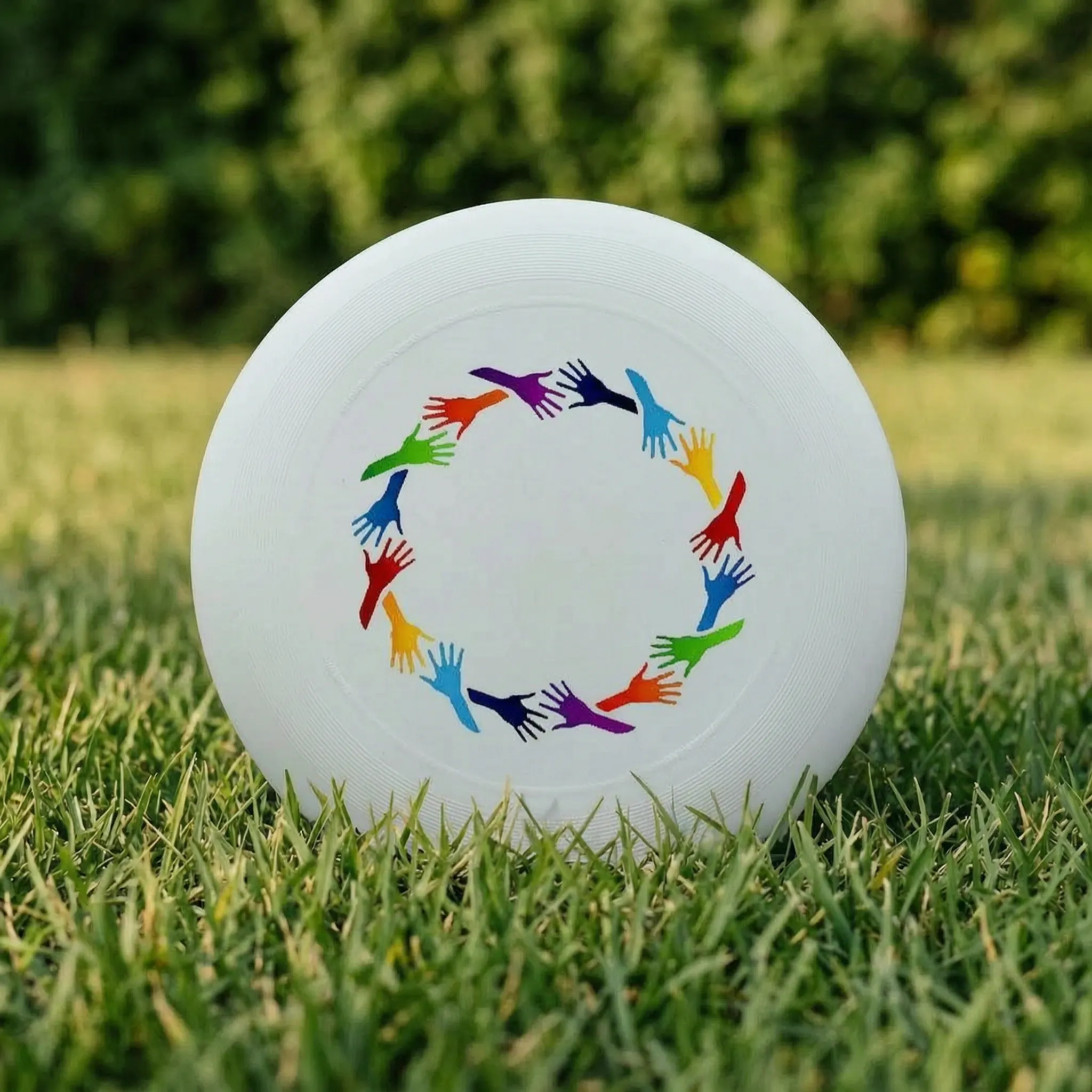Nordspur | Spinix Printed Flying Disc