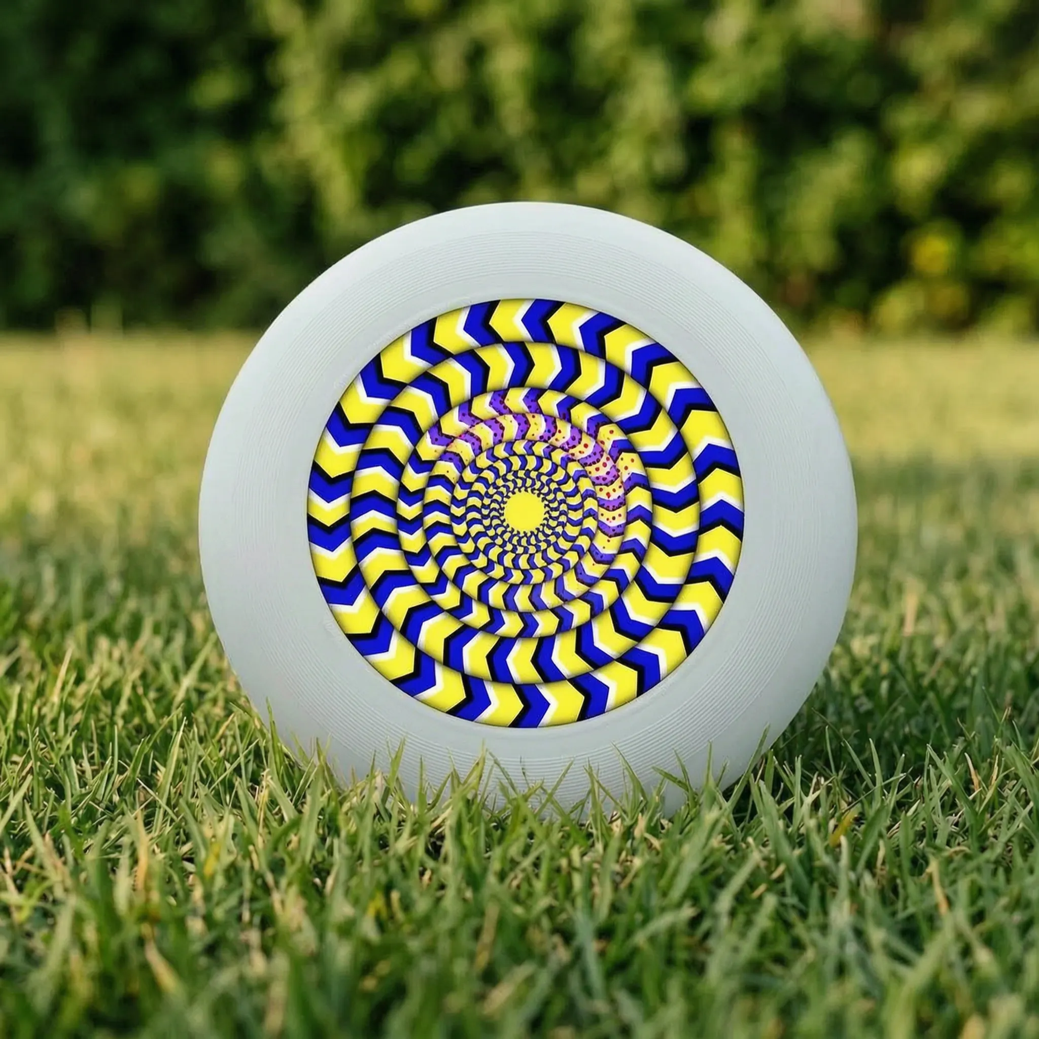 Nordspur | Spinix Printed Flying Disc