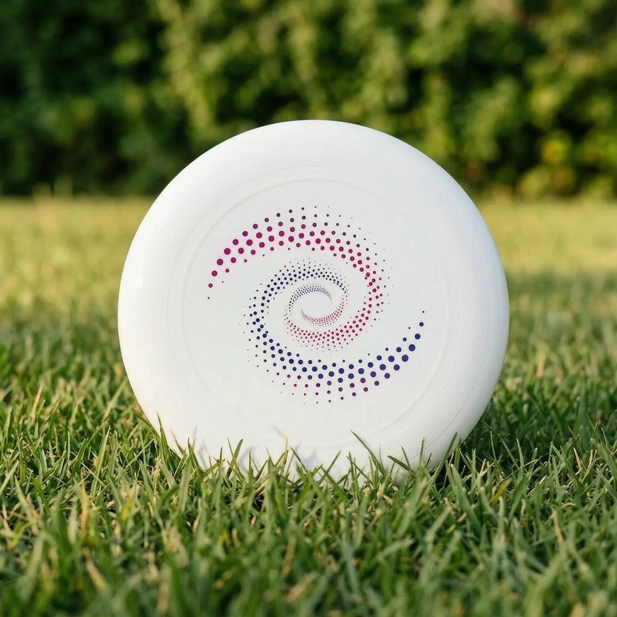 Nordspur | Spinix Printed Flying Disc