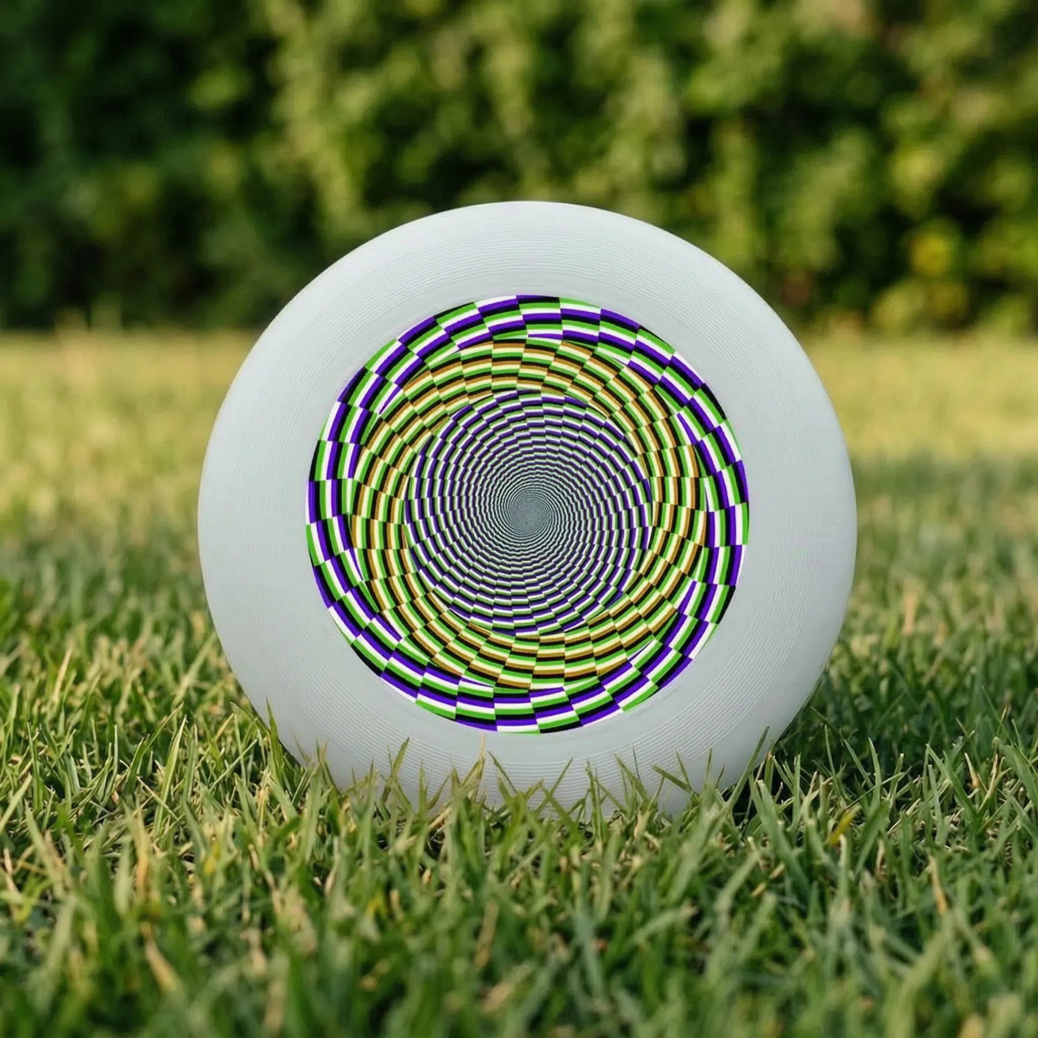 Nordspur | Spinix Printed Flying Disc
