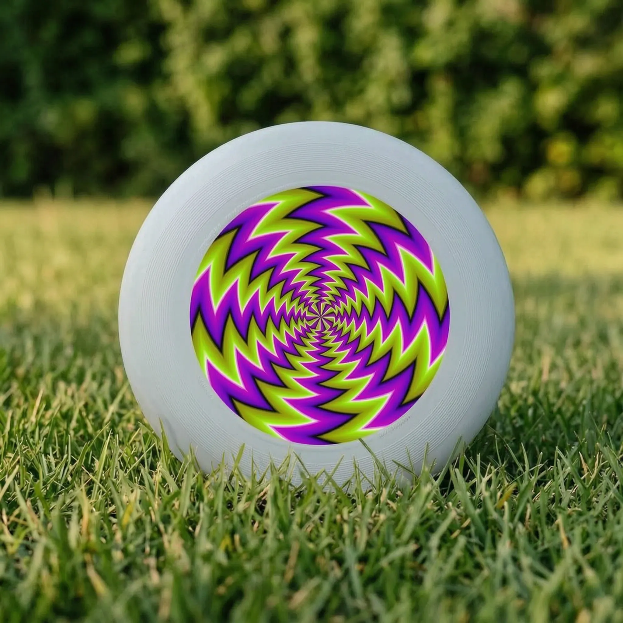 Nordspur | Spinix Printed Flying Disc