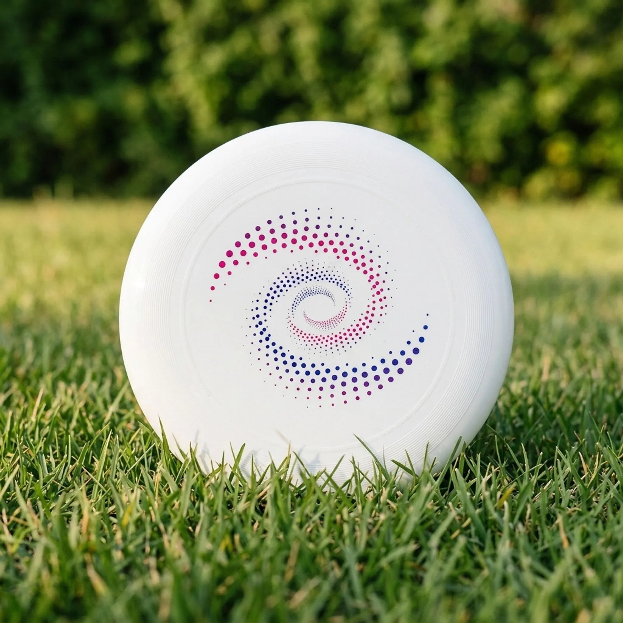 Nordspur | Spinix Printed Flying Disc