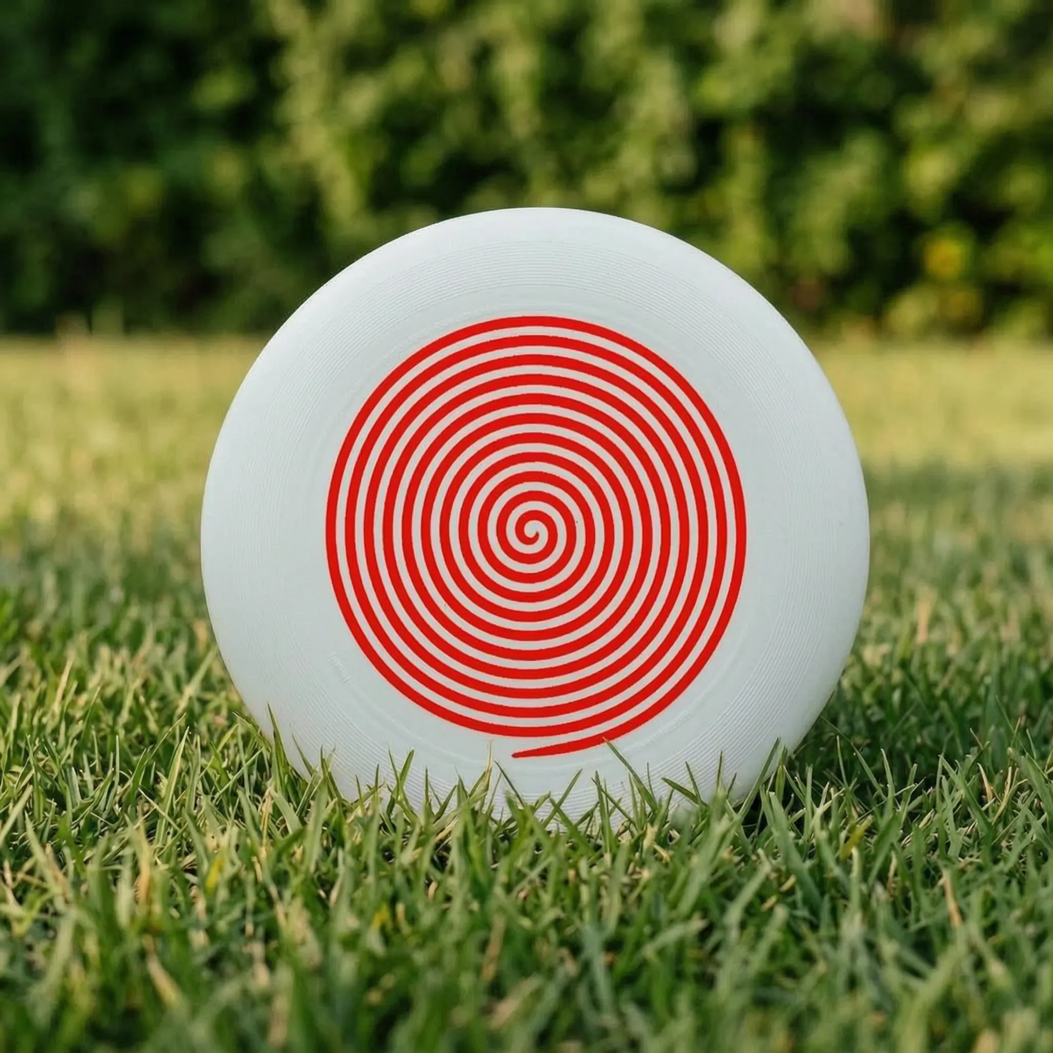 Nordspur | Spinix Printed Flying Disc
