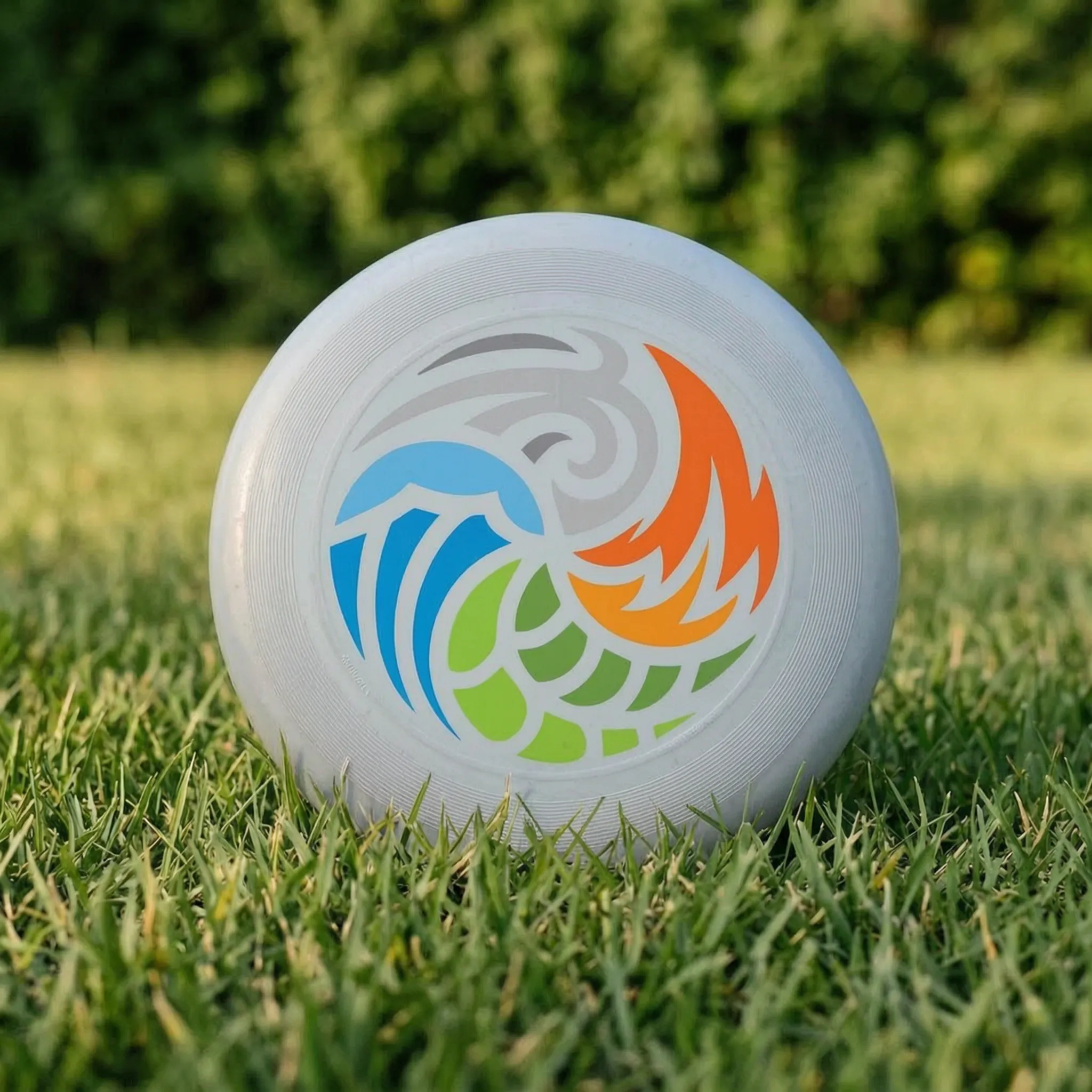 Nordspur | Spinix Printed Flying Disc