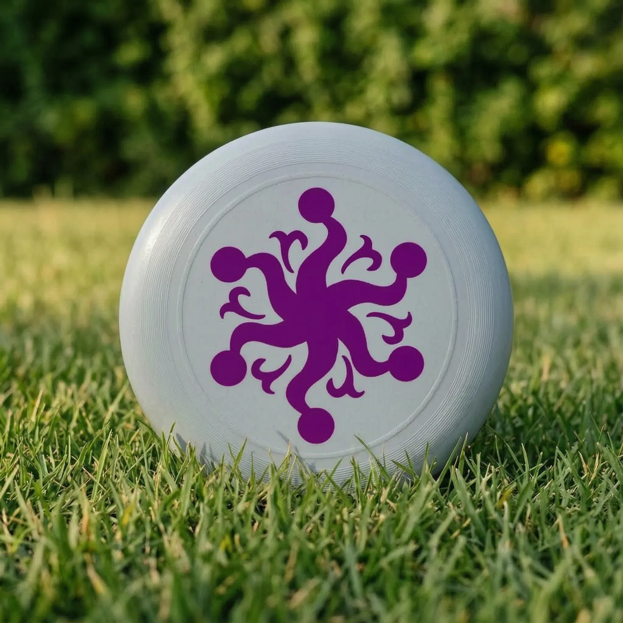 Nordspur | Spinix Printed Flying Disc
