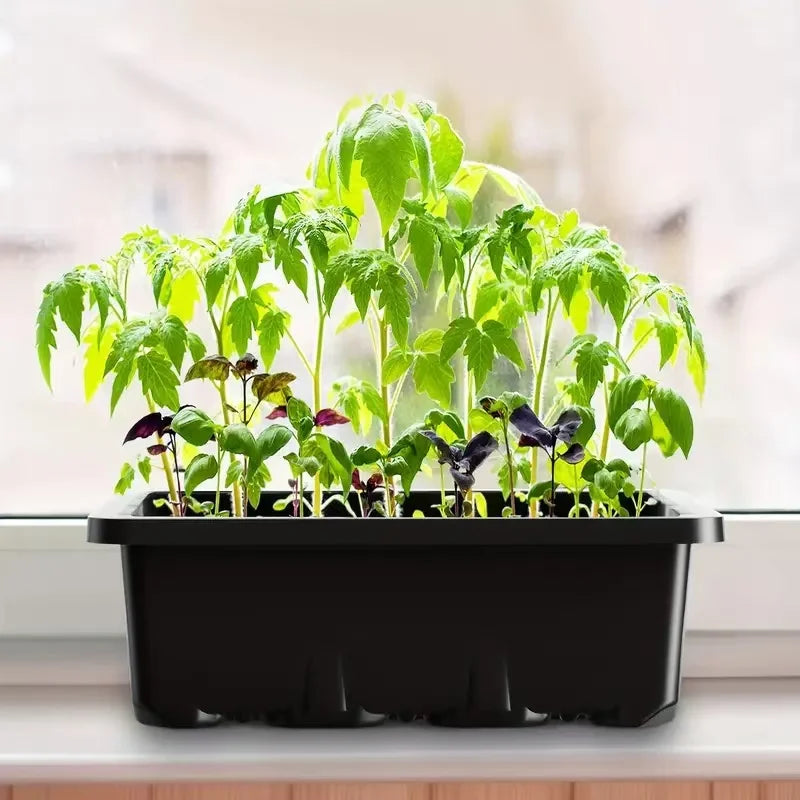 Nordspur | Sprowtix Seed Starter Tray With Built-In Grow Light