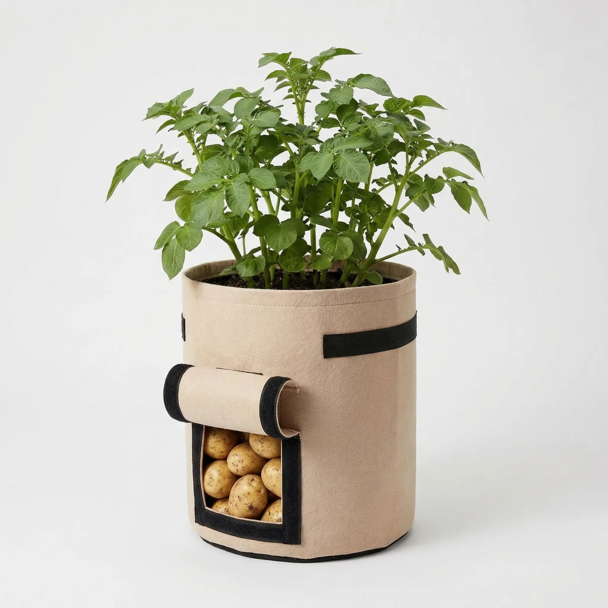 Nordspur | Spudwell Large Handled Vegetable Growing Bag