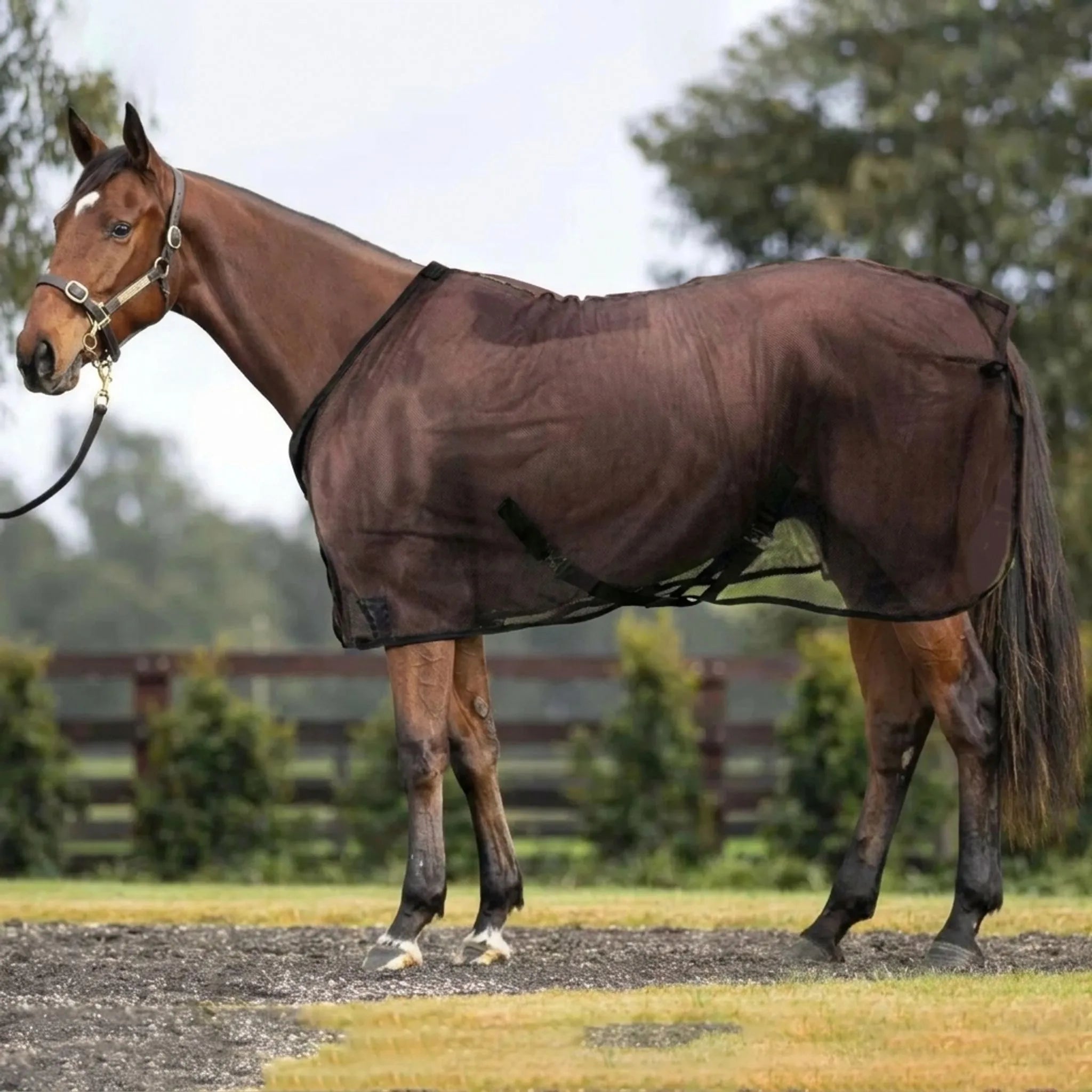 Nordspur | Stalvix Lightweight Mesh Horse Sheet