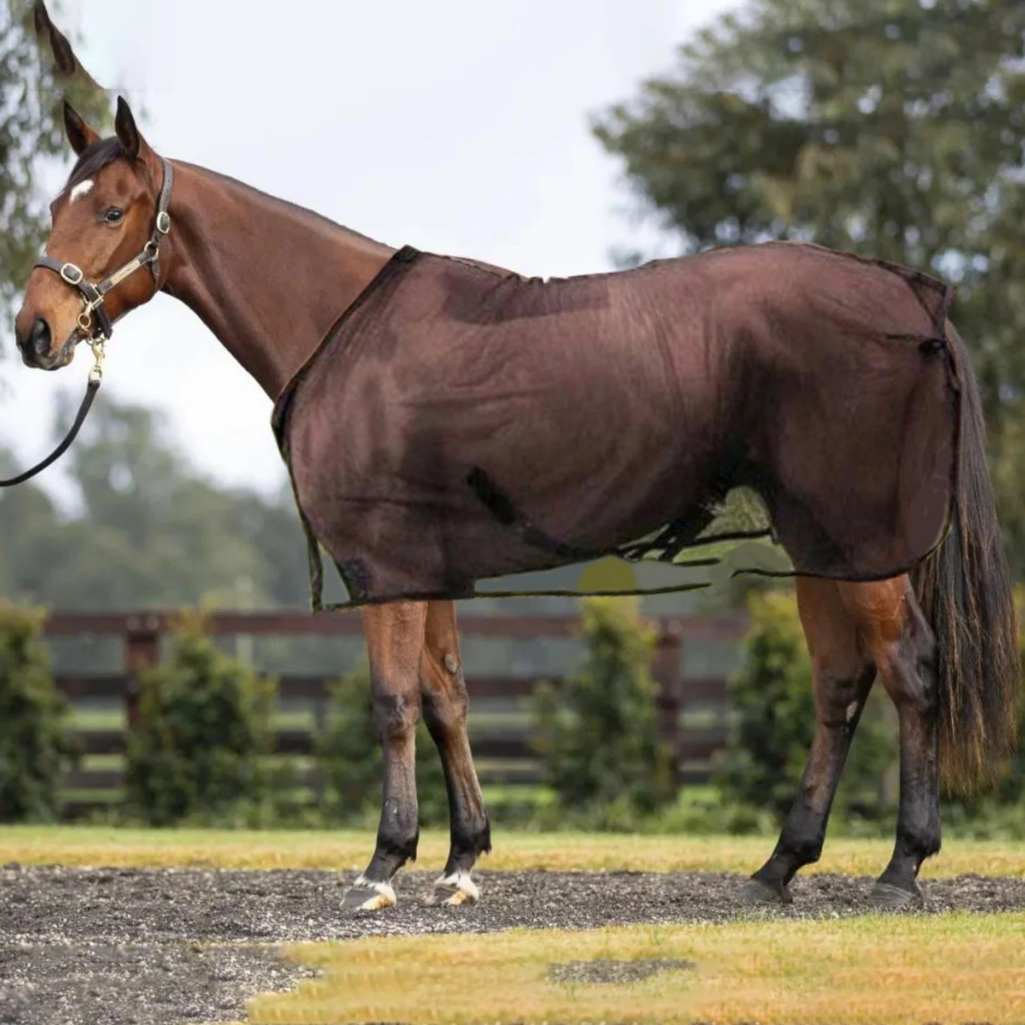 Nordspur | Stalvix Lightweight Mesh Horse Sheet