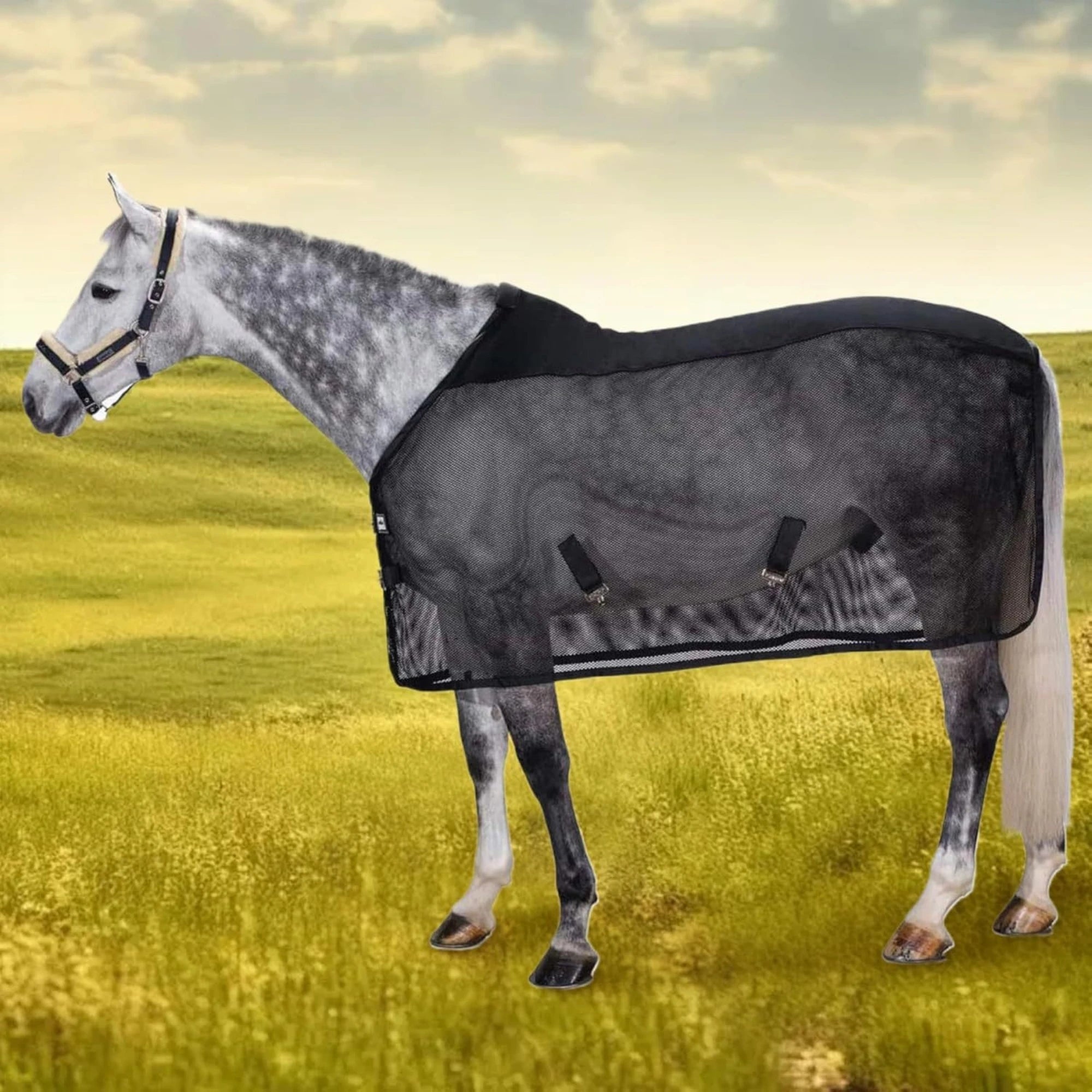 Nordspur | Stalvix Lightweight Mesh Horse Sheet