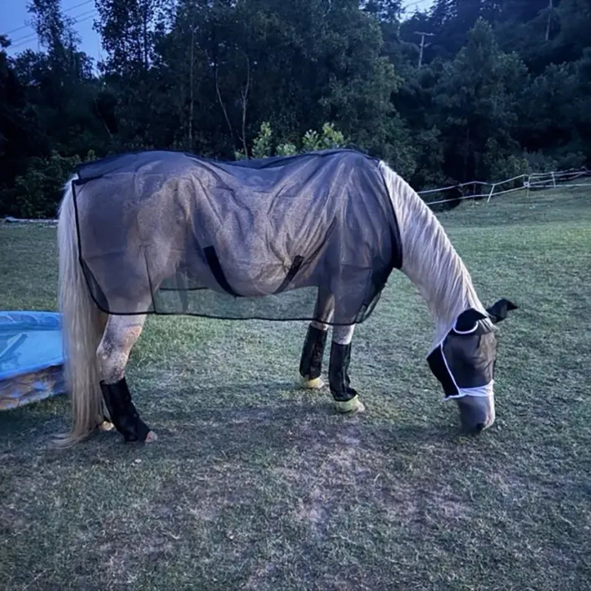Nordspur | Stalvix Lightweight Mesh Horse Sheet