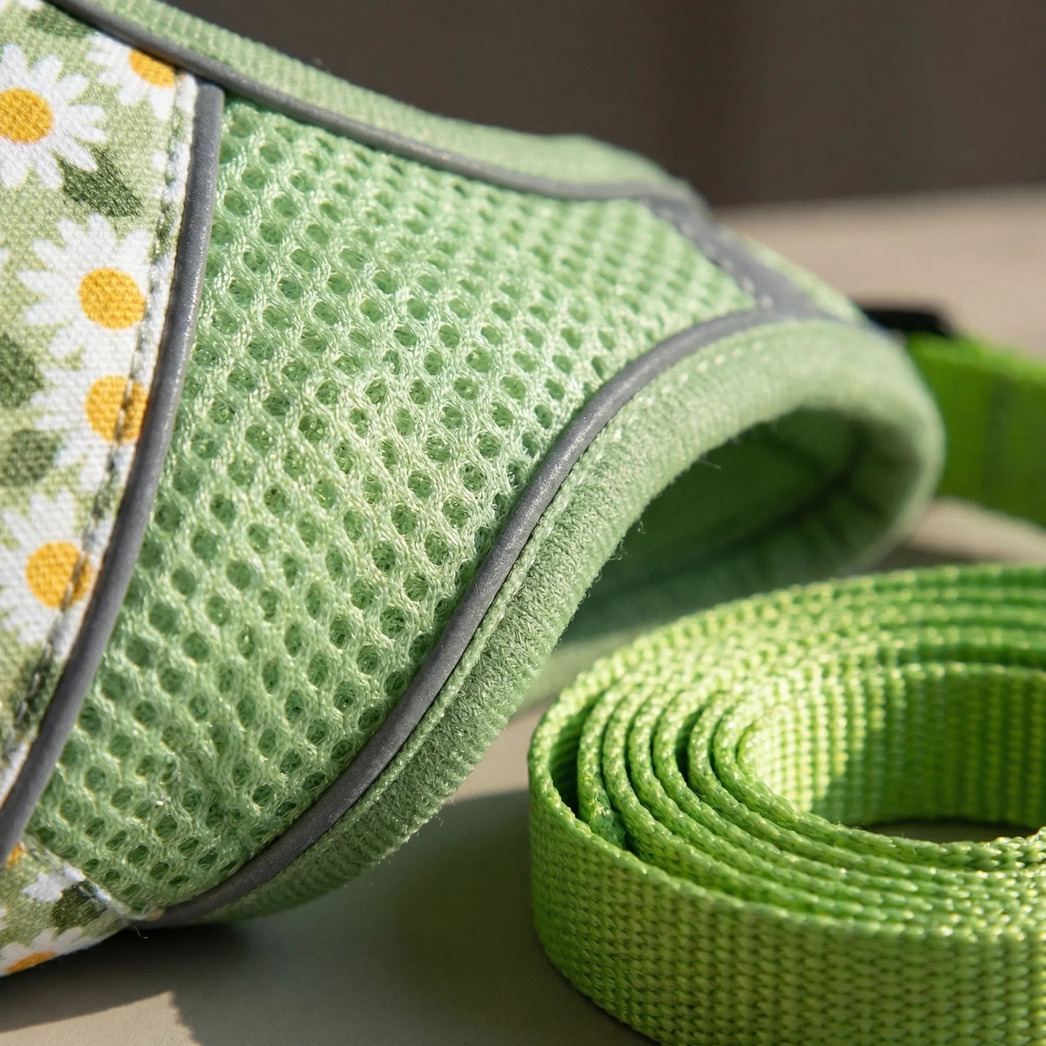 Nordspur | Striddler Adjustable No-Pull Pet Harness Set