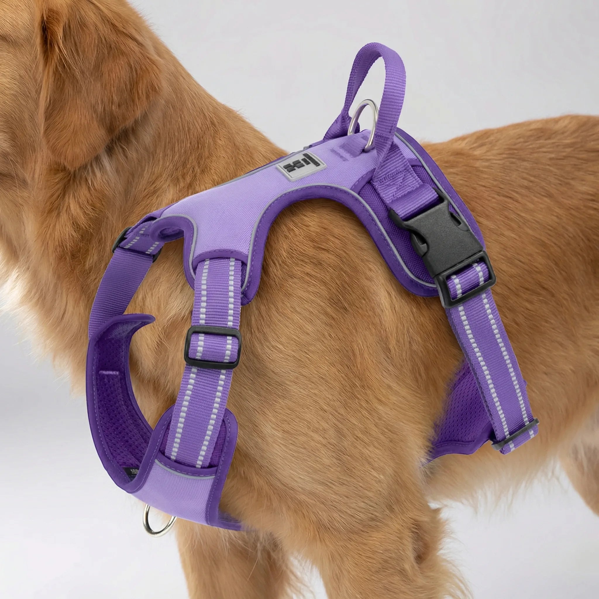 Nordspur | Strutpaw Adjustable No-Pull Chest Harness