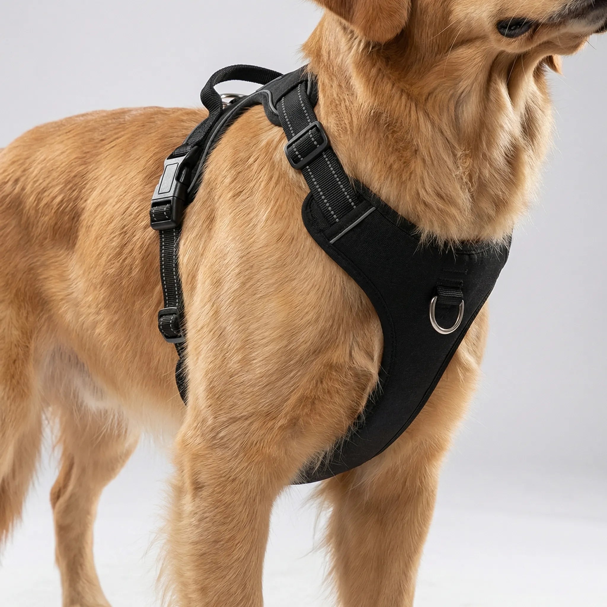 Nordspur | Strutpaw Adjustable No-Pull Chest Harness