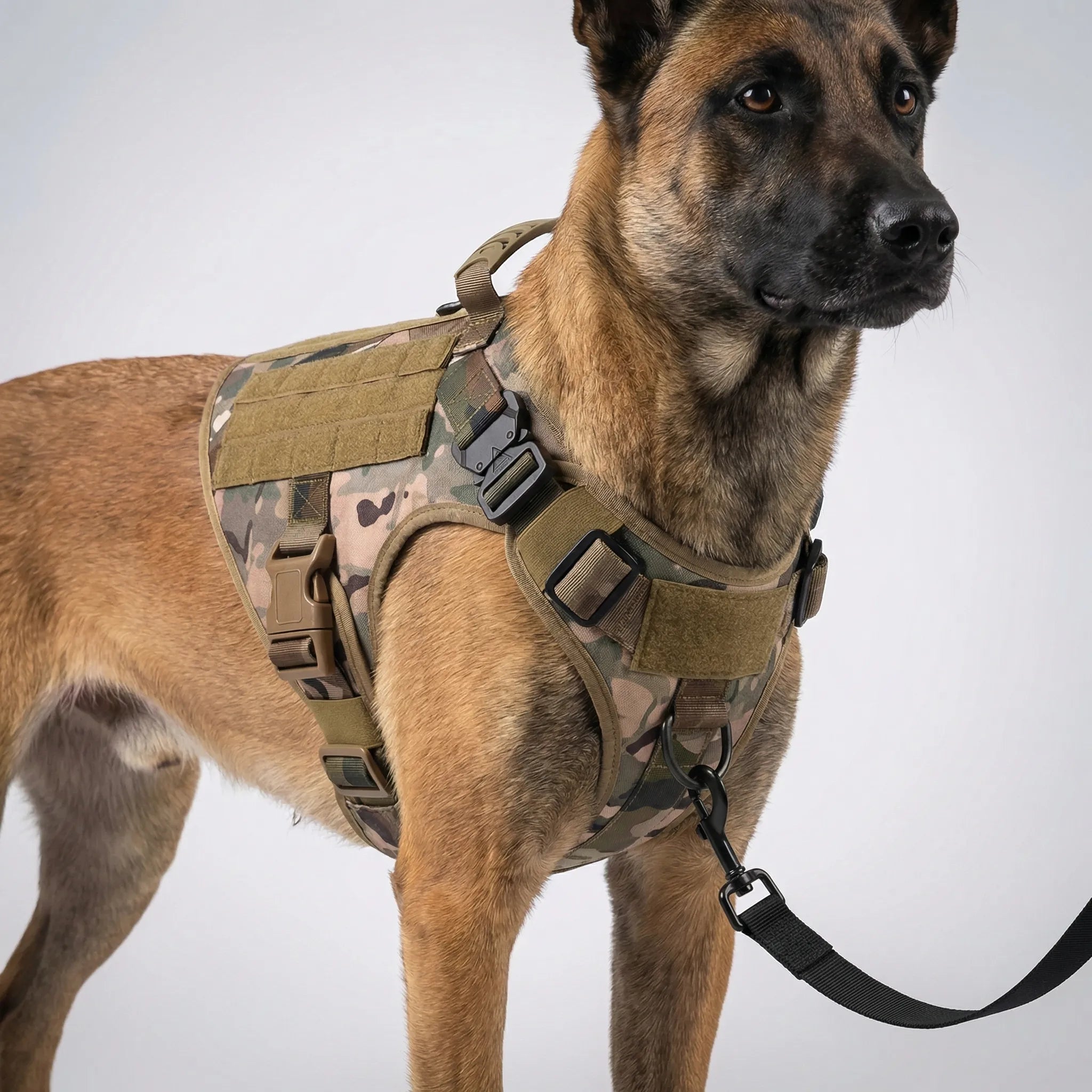 Nordspur | Tacticanine Military-Style Tactical Dog Harness Set