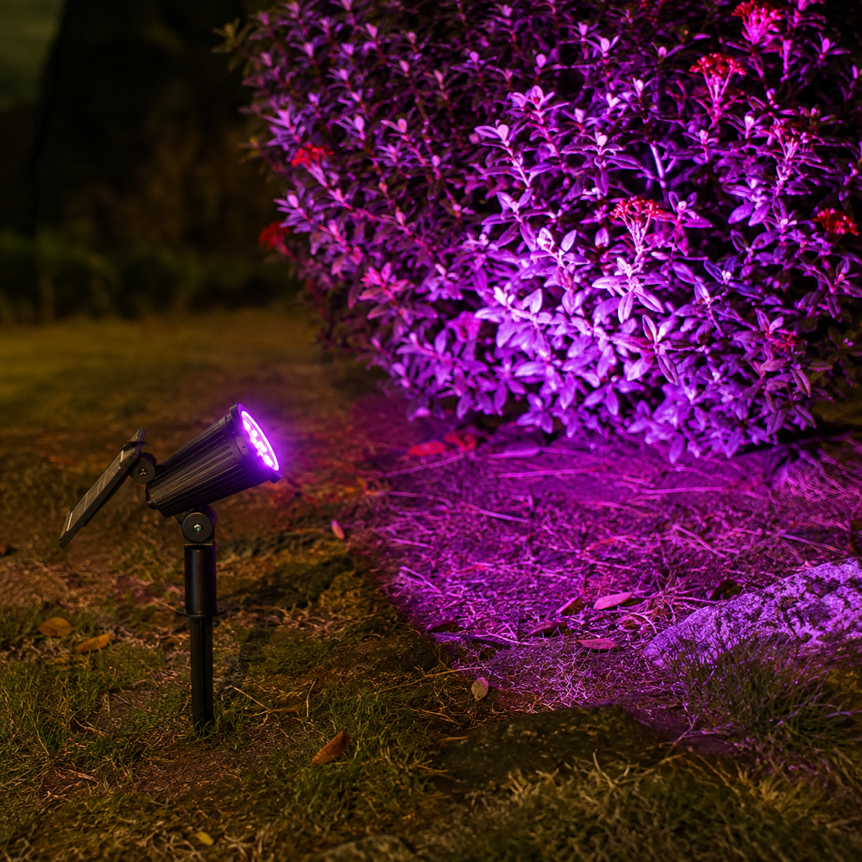Nordspur | Terralux Solar-Powered In-Ground Garden Spotlight