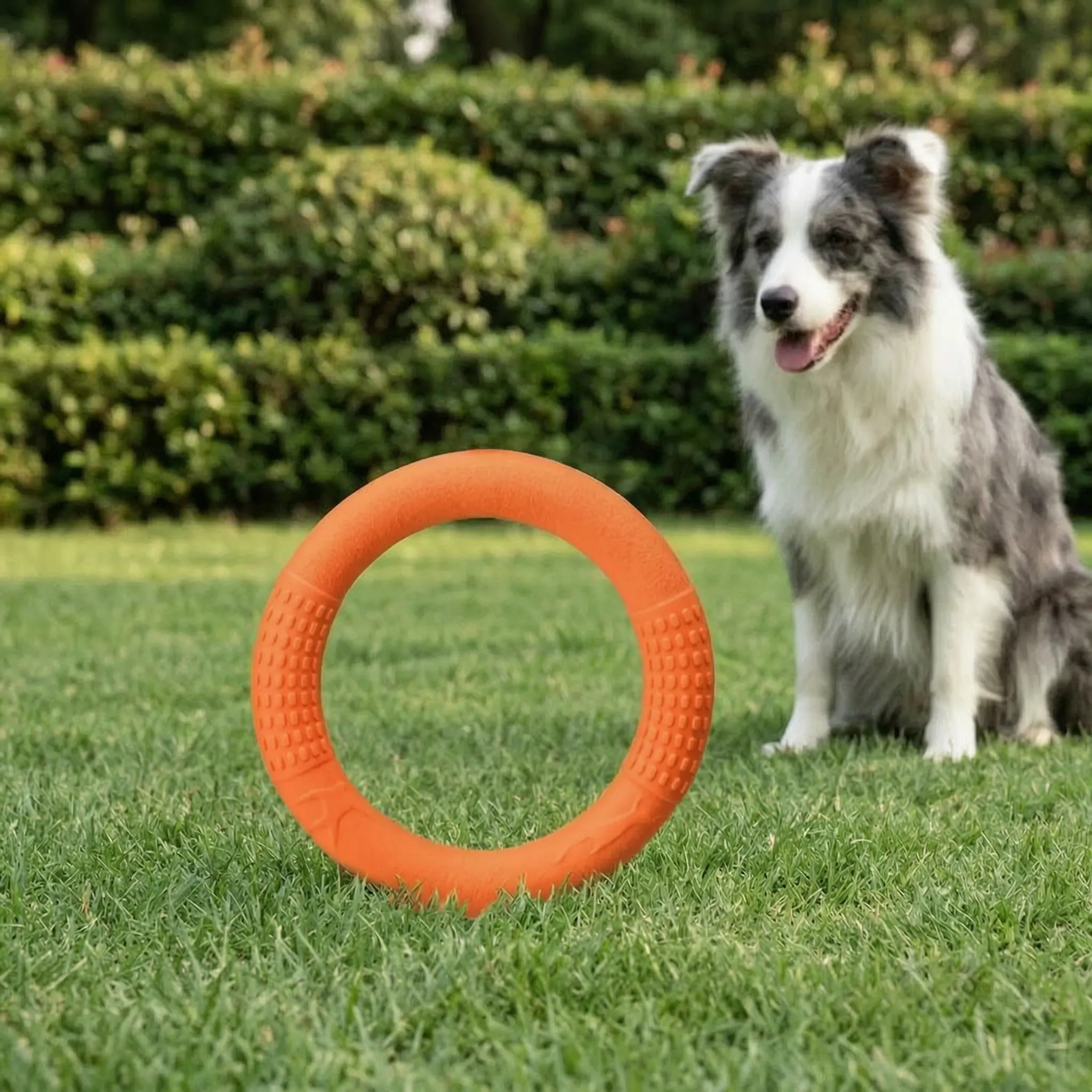 Nordspur | Tosslin Floating Ring Dog Toy