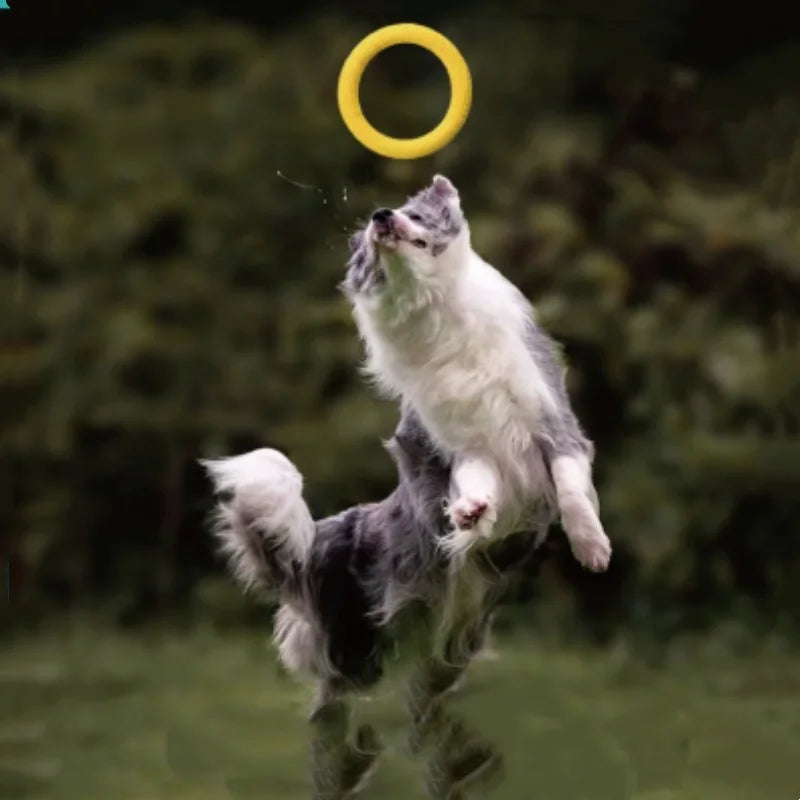 Nordspur | Tosslin Floating Ring Dog Toy