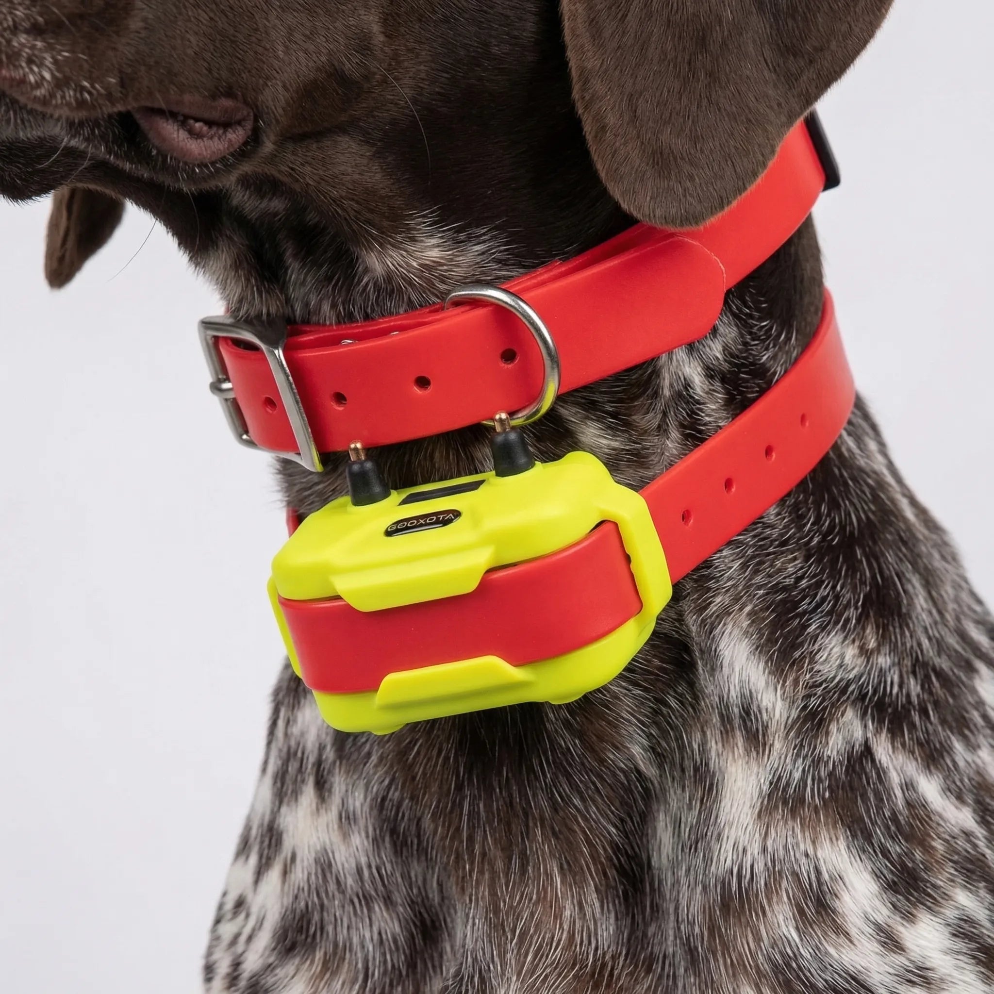 Nordspur | Trackhound 4G GPS Hunting Dog Collar