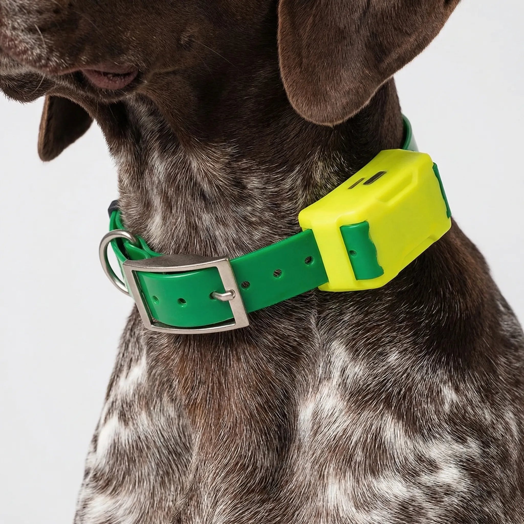 Nordspur | Trackhound 4G GPS Hunting Dog Collar