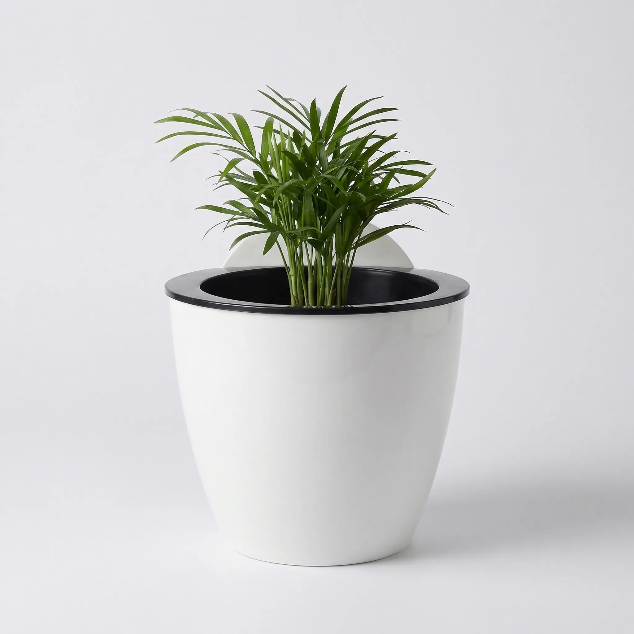Nordspur | Verdiq Wall-Mounted Self-Watering Planter Pot