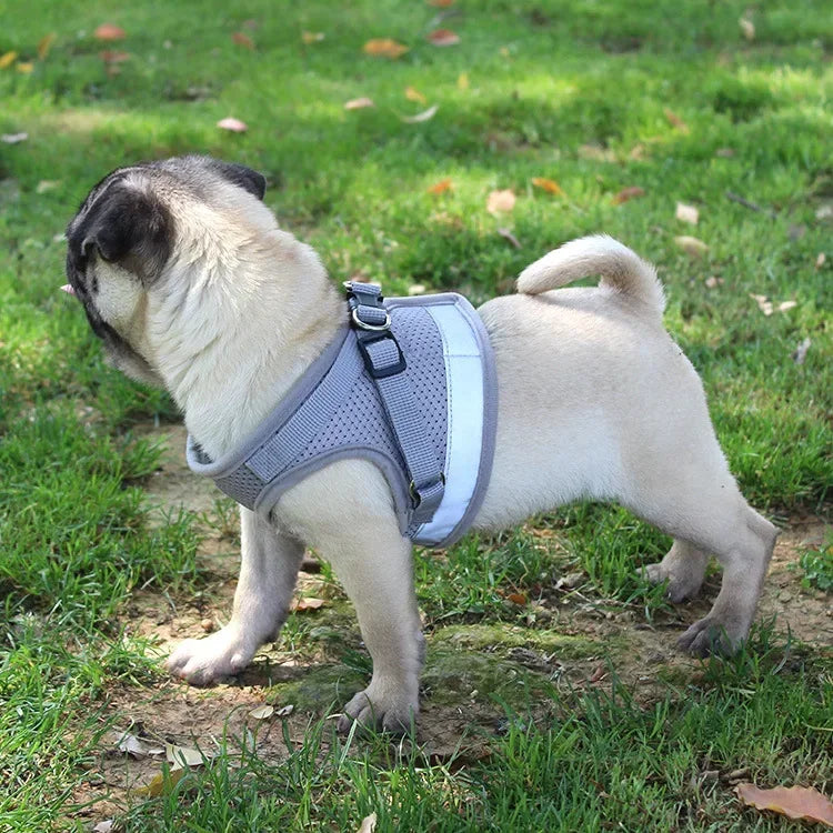 Nordspur | Vestipet Adjustable Reflective Vest Harness For Small Dogs