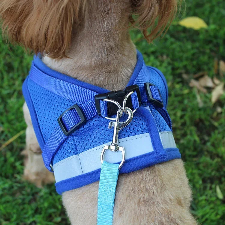 Nordspur | Vestipet Adjustable Reflective Vest Harness For Small Dogs