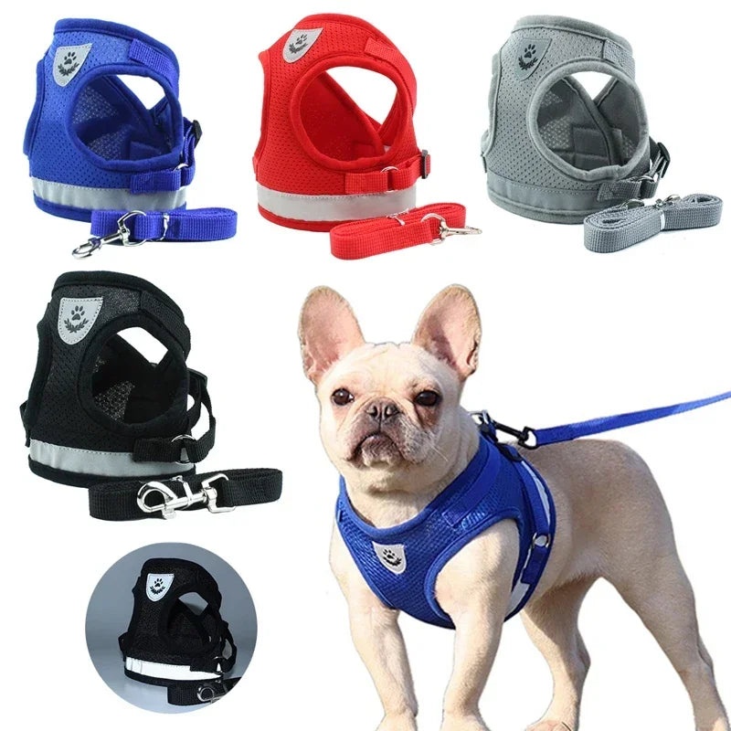 Nordspur | Vestipet Adjustable Reflective Vest Harness For Small Dogs