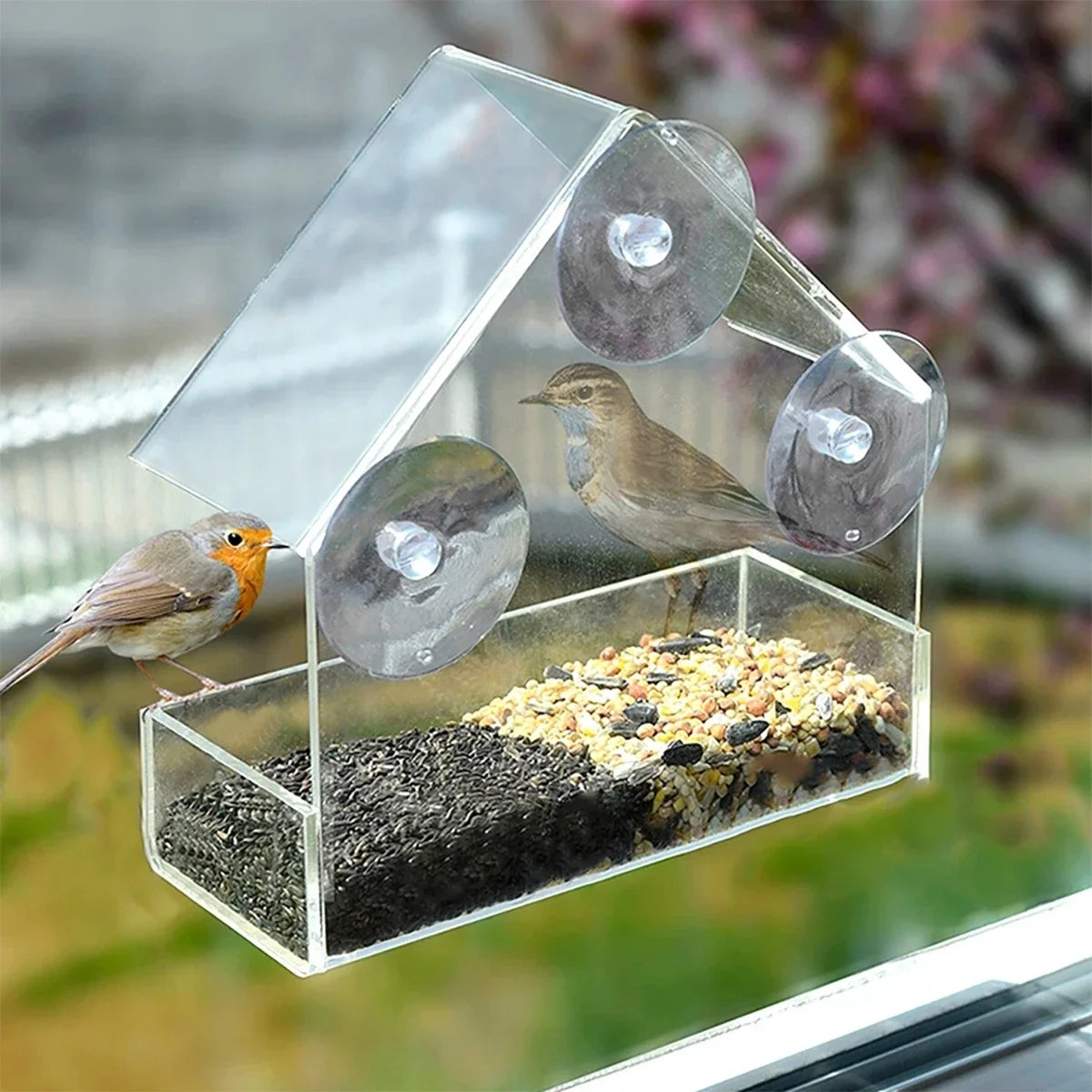 Nordspur | Visidom Transparent Window Bird Feeder