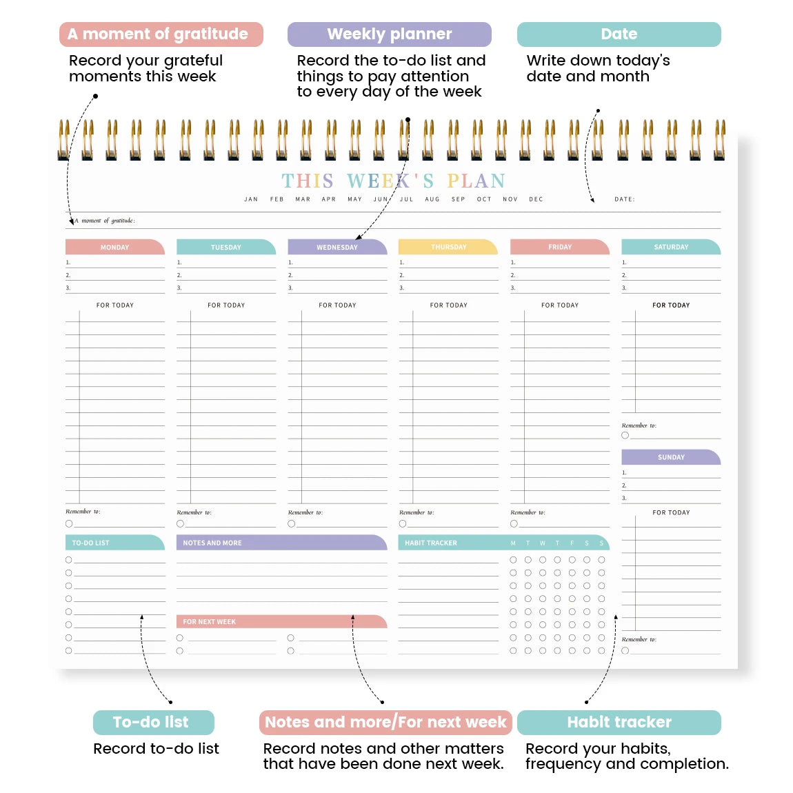 Nordspur | Weeklyce Undated Weekly Planner Pad