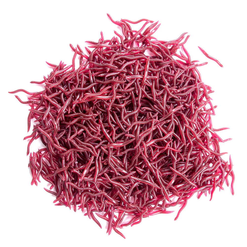 Nordspur | WobbleBait Soft Synthetic Worm Fishing Lure