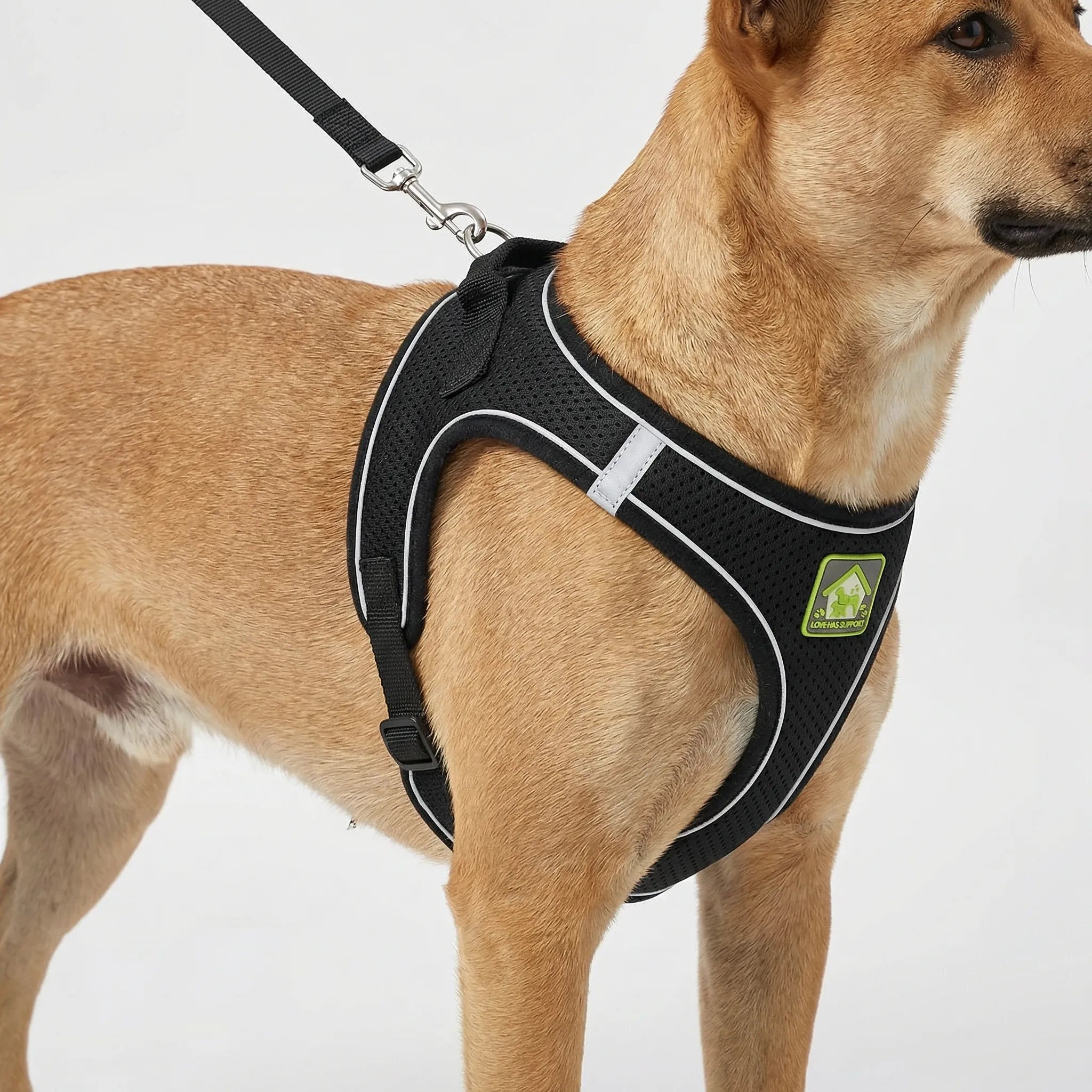 Nordspur | Woofwear Reflective Vest-Style Dog Harness