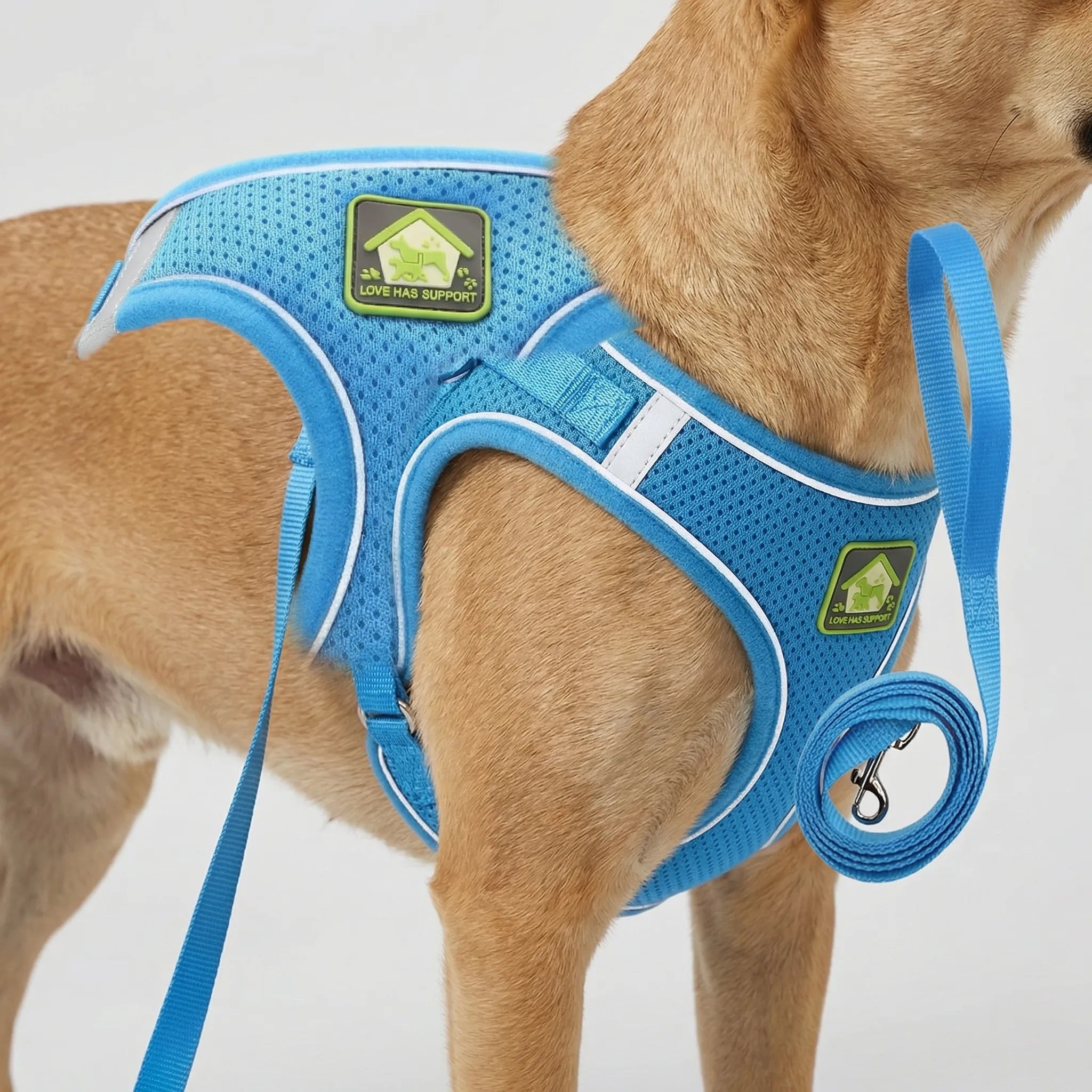 Nordspur | Woofwear Reflective Vest-Style Dog Harness