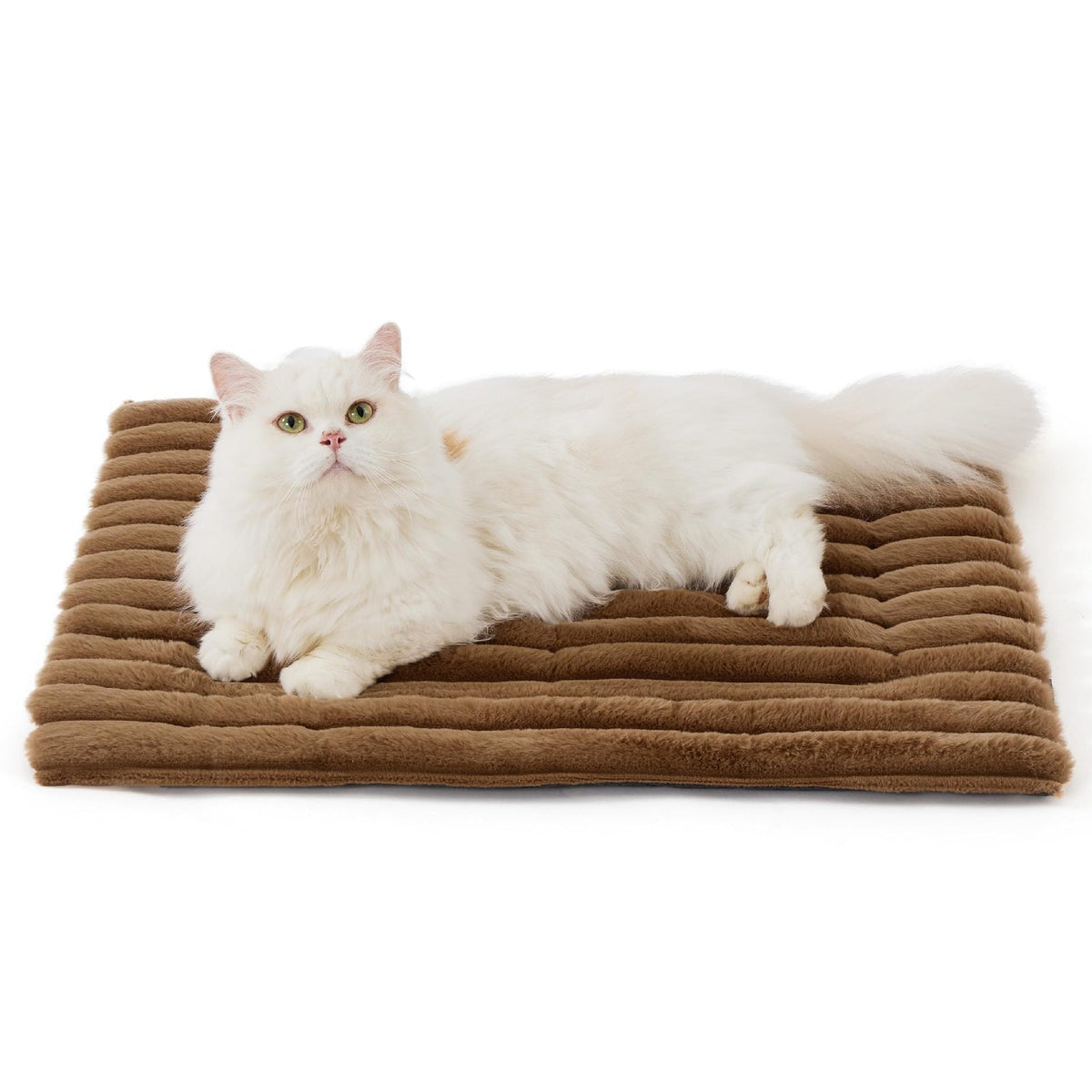 Self-Warming Pet Mat for Cats & Dogs – Quiet, Non-Slip & No Electricity