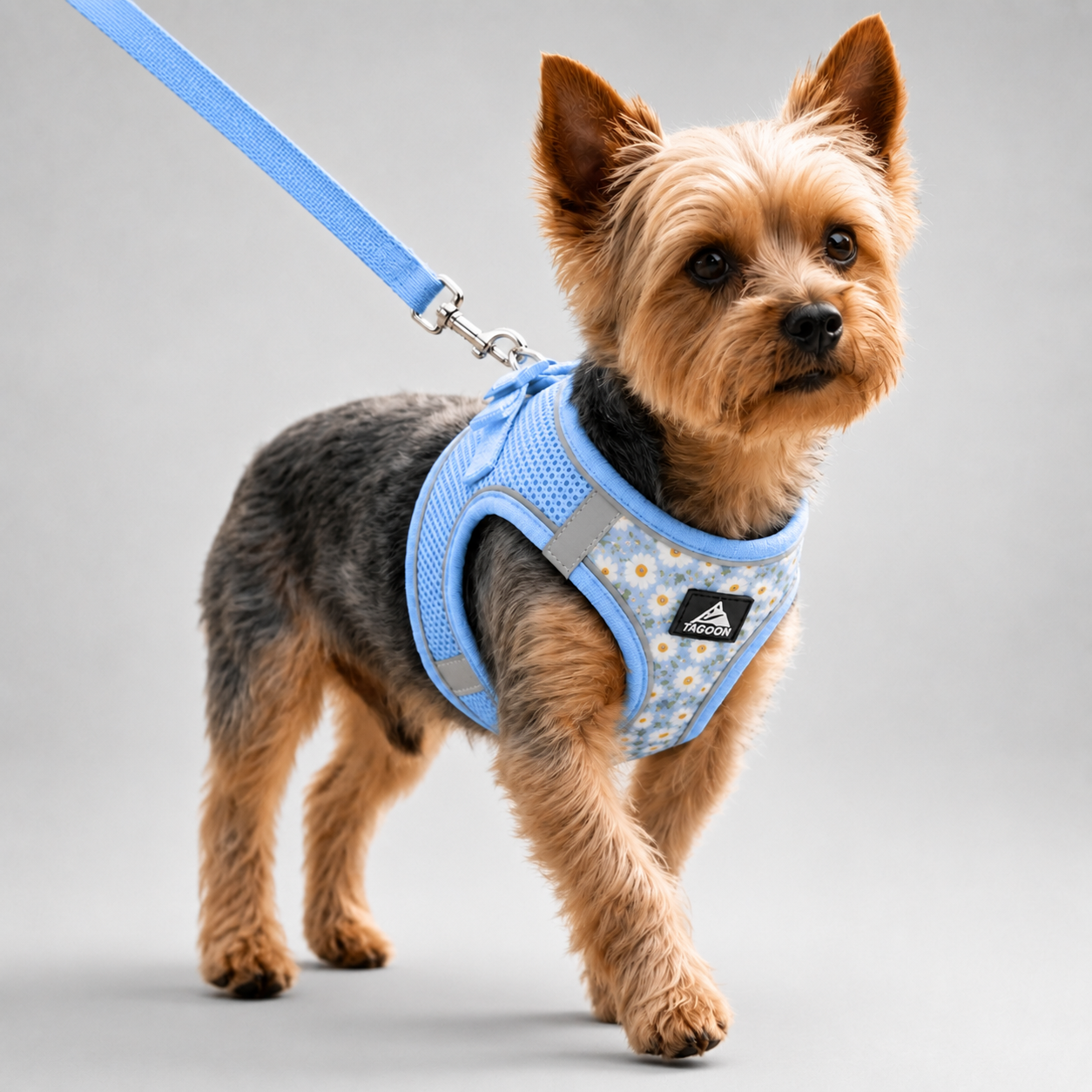 Nordspur | Striddler Adjustable No-Pull Pet Harness Set