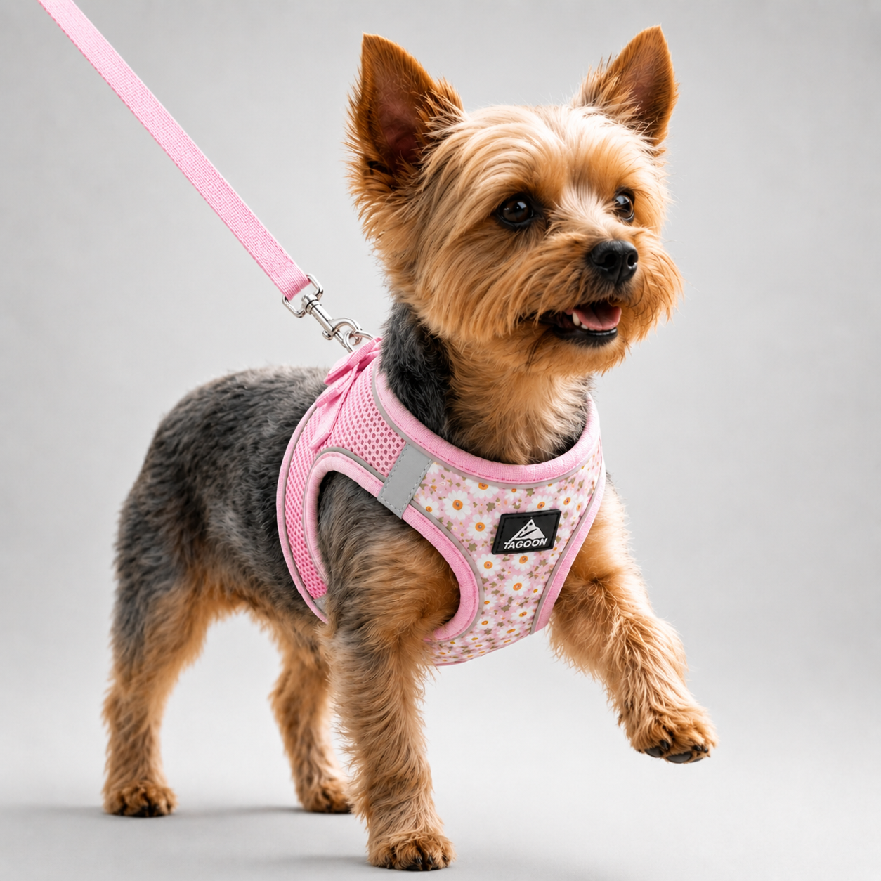 Nordspur | Striddler Adjustable No-Pull Pet Harness Set