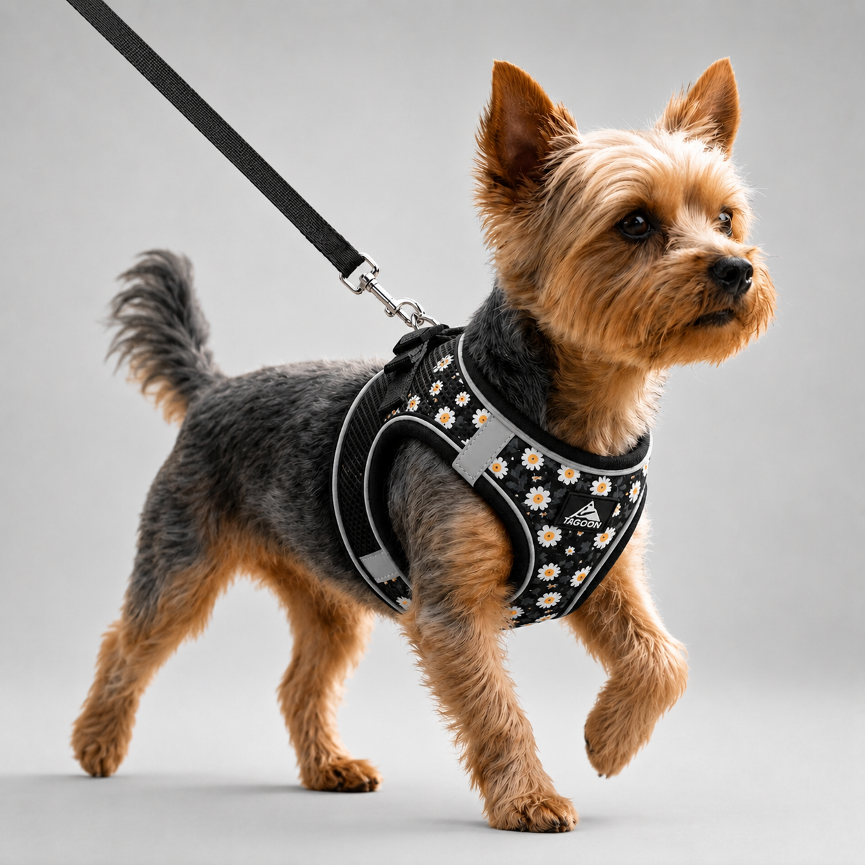 Nordspur | Striddler Adjustable No-Pull Pet Harness Set