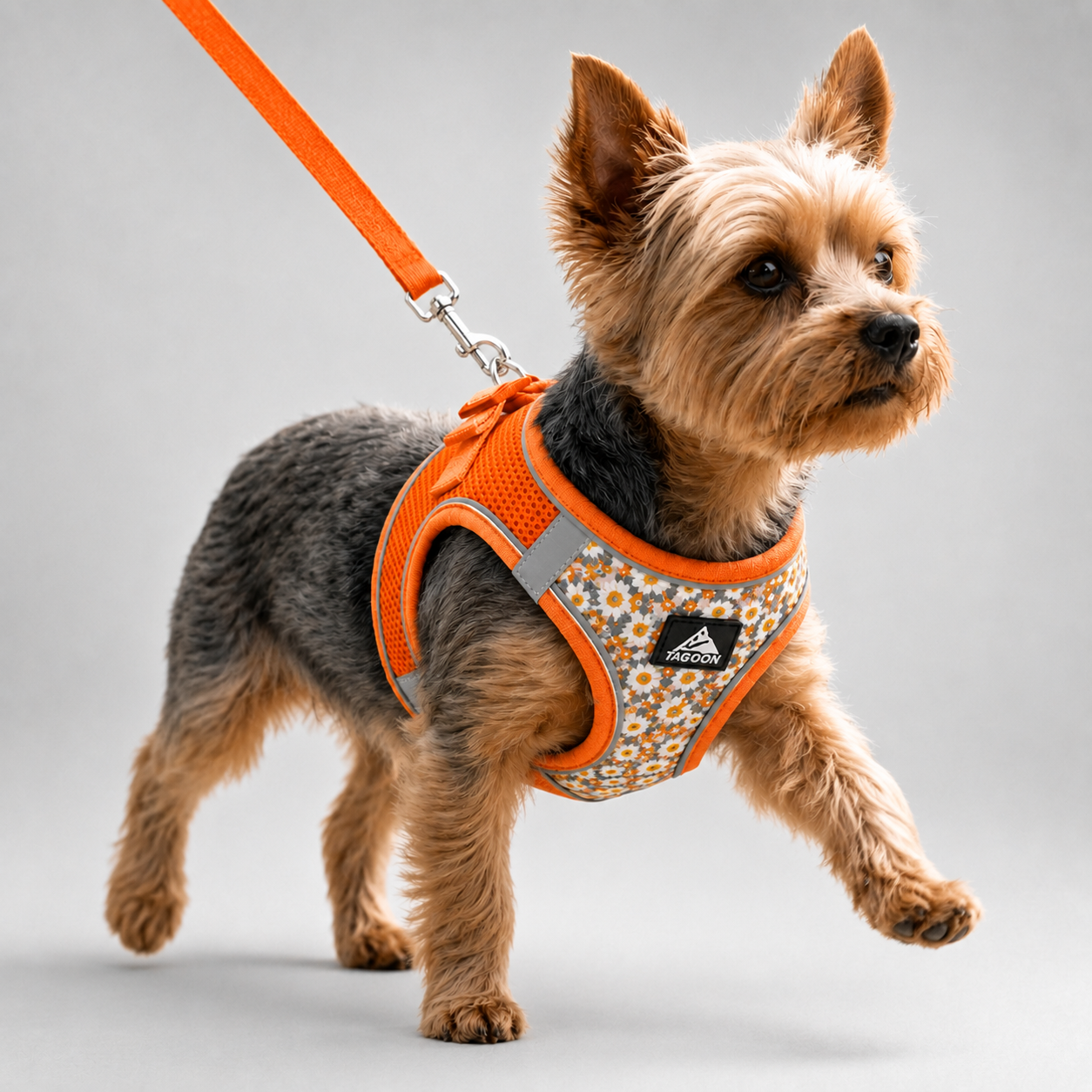 Nordspur | Striddler Adjustable No-Pull Pet Harness Set