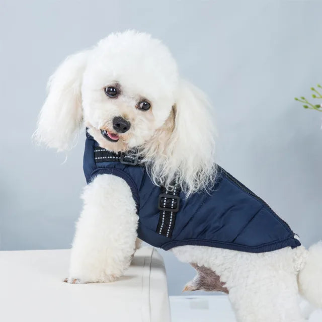 Wind and Waterproof Dog Jacket with Integrated Harness