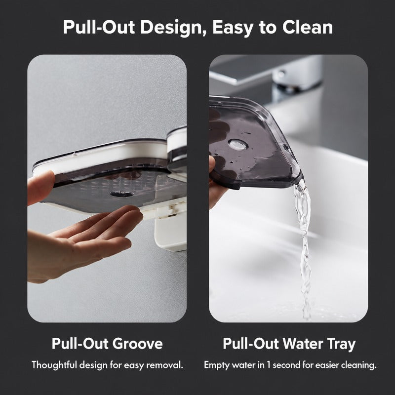Pull-Out Drain Soap Rack